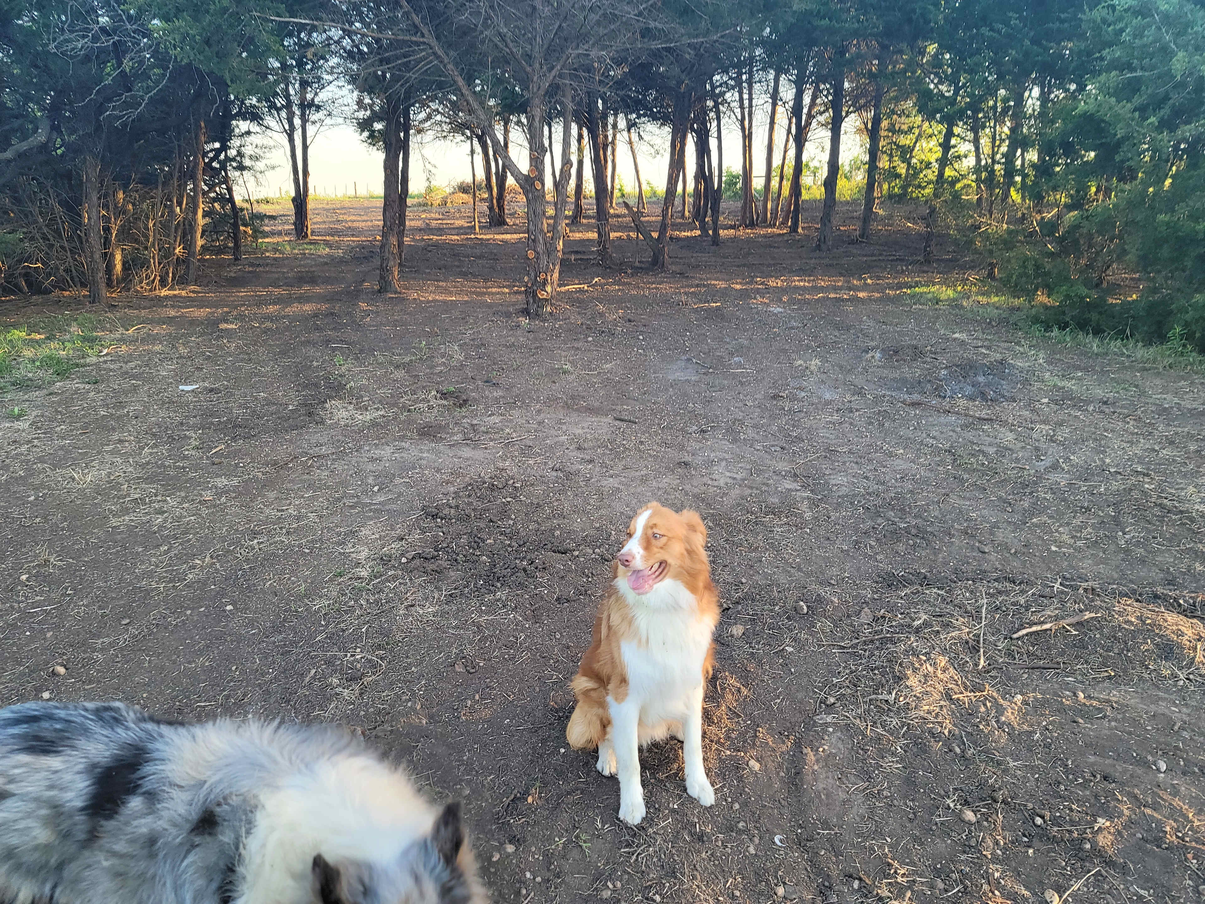 Rancho Arreguin