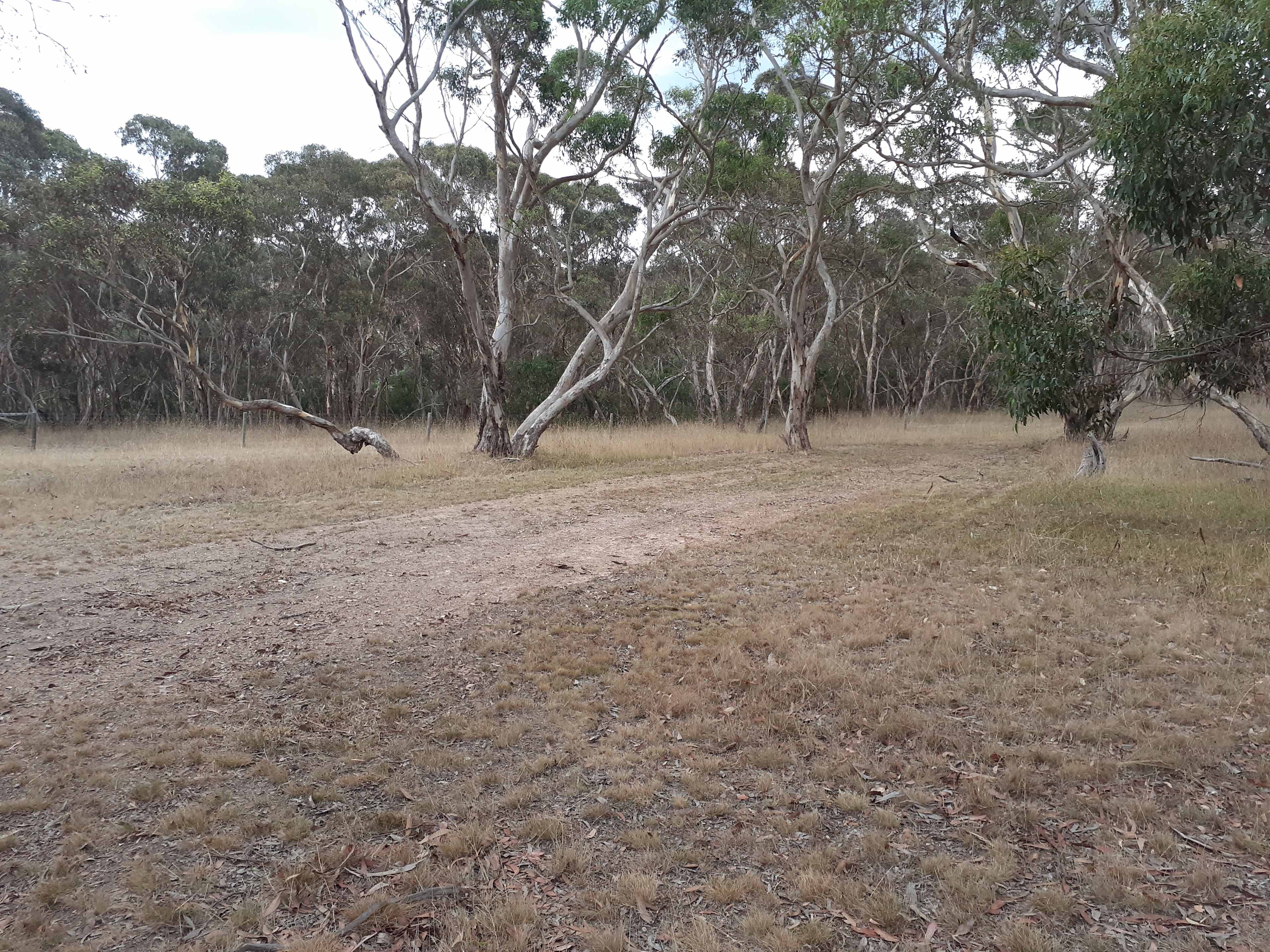 This is the flat site to park your caravan or pitch your tent