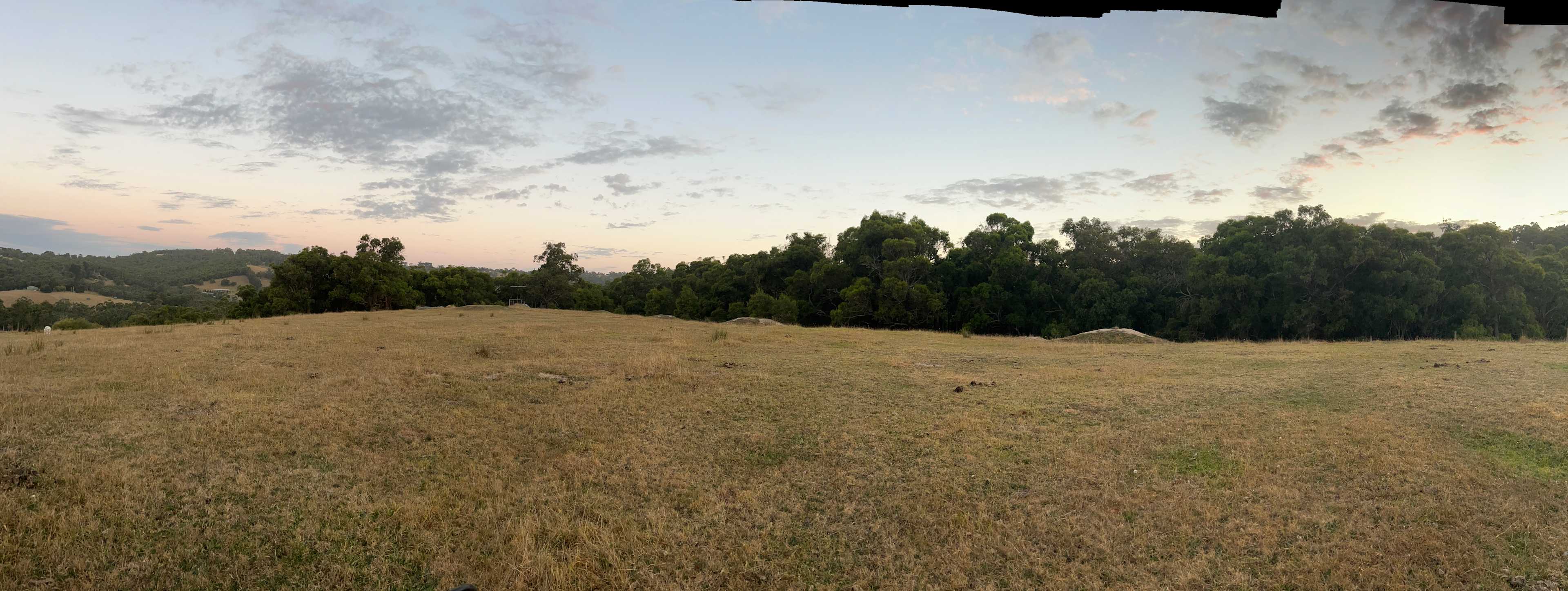 Toomuc Gully