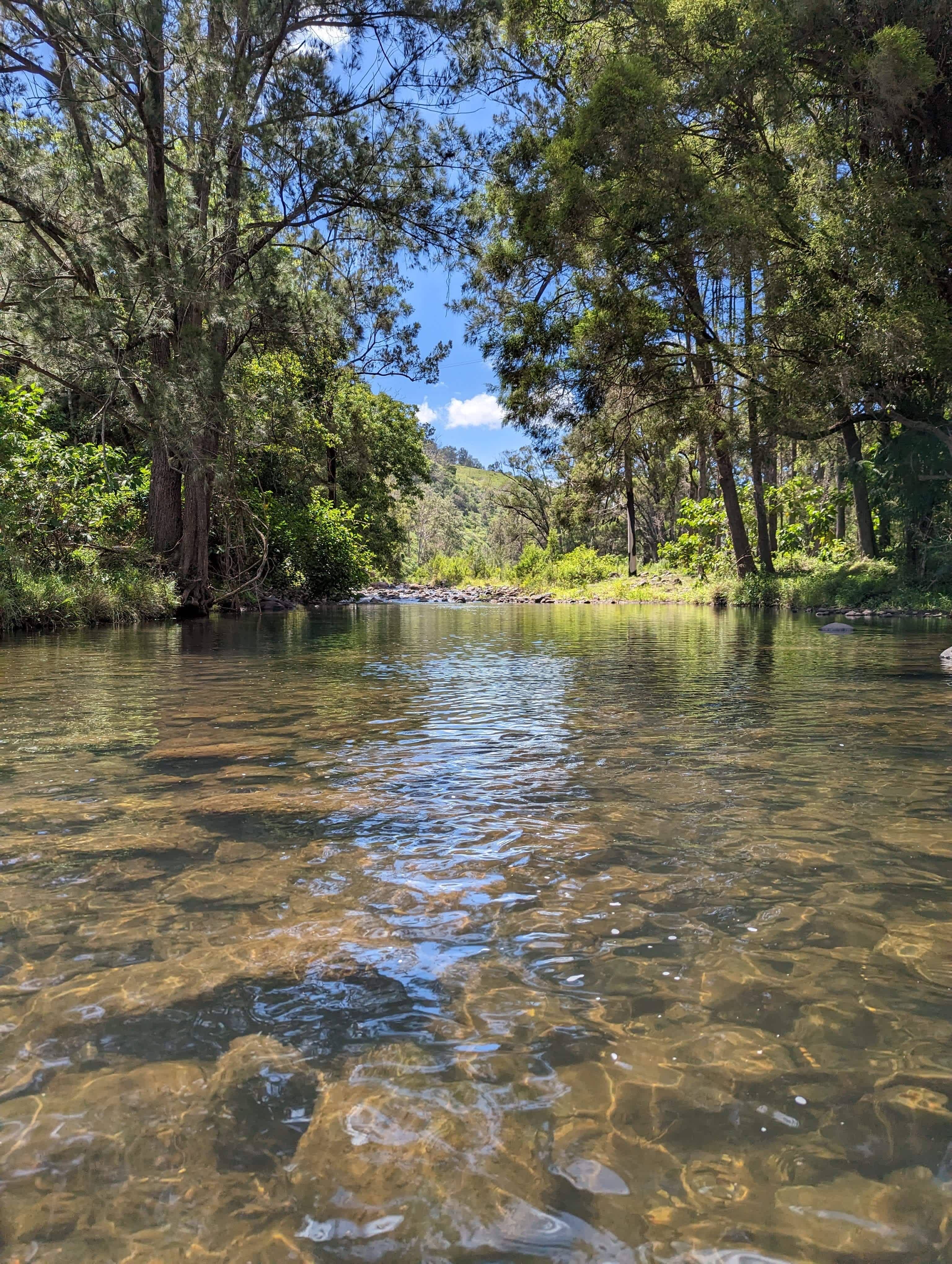 Sarabah Creek Camping