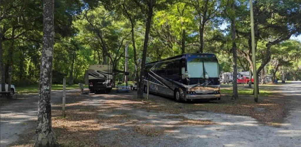 Spacious Skies Savannah Oaks Campground