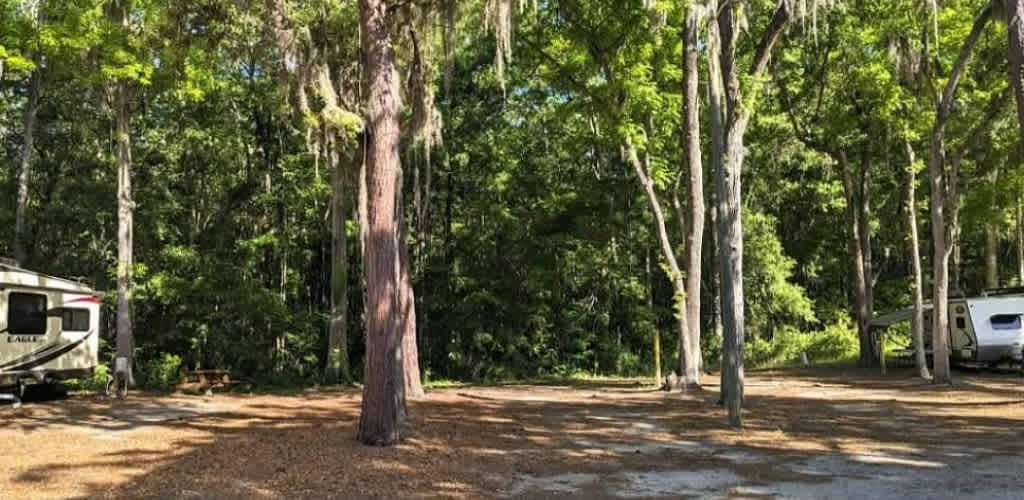 Spacious Skies Savannah Oaks Campground