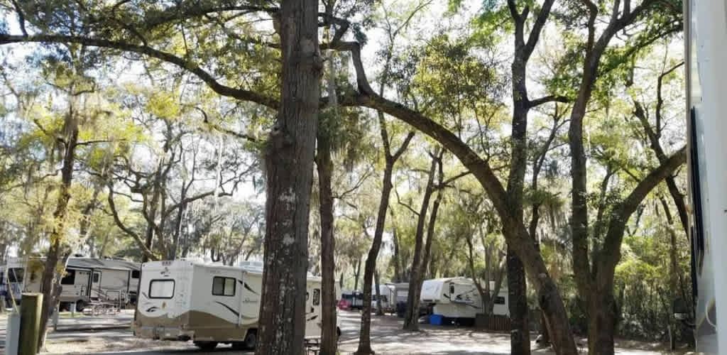 Spacious Skies Savannah Oaks Campground