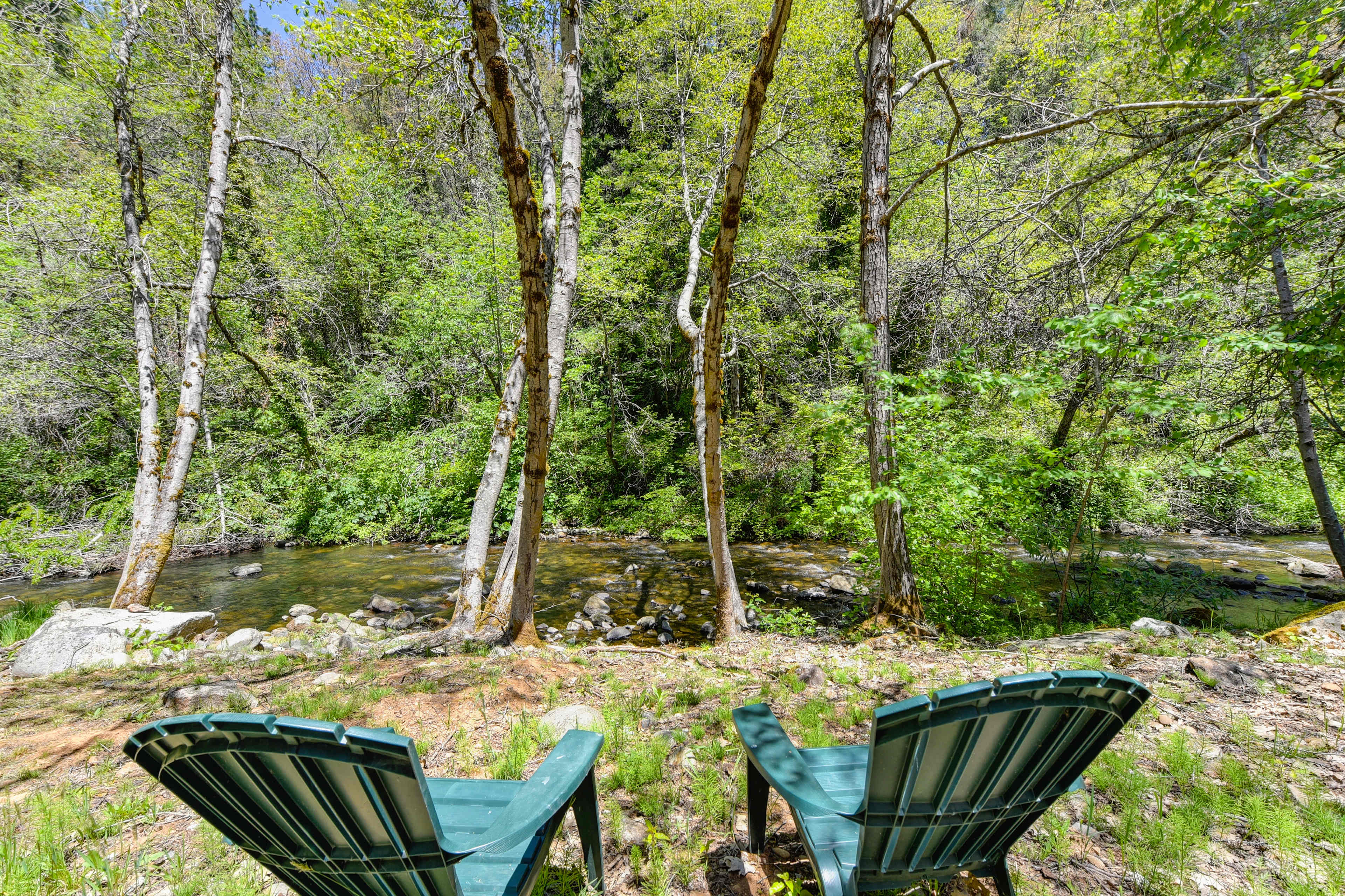 8 acres and private, gorgeous creek for dipping on a hot day (or cold plunging on a cold one!) 