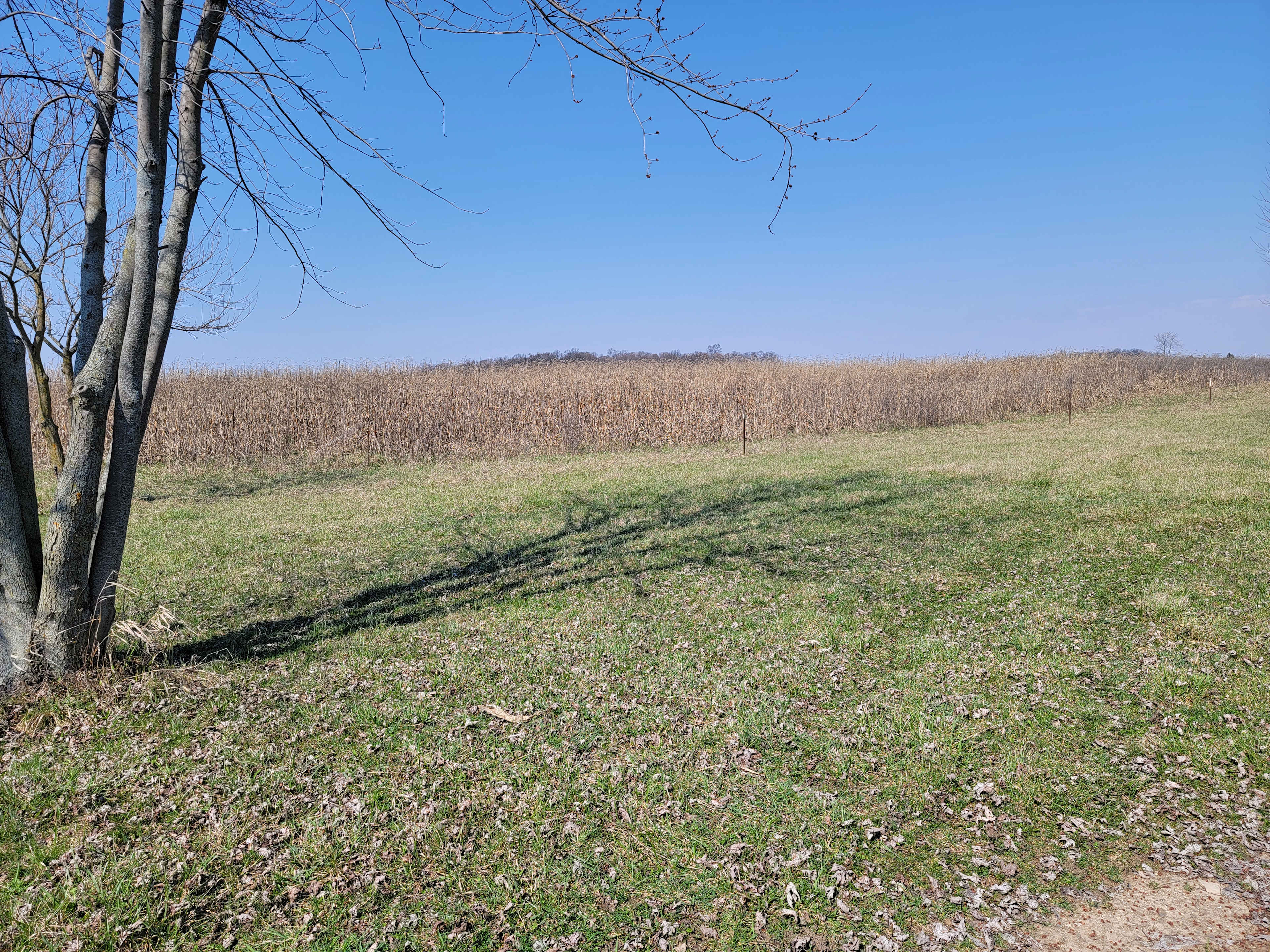 Scott and Amy's Rural Respite