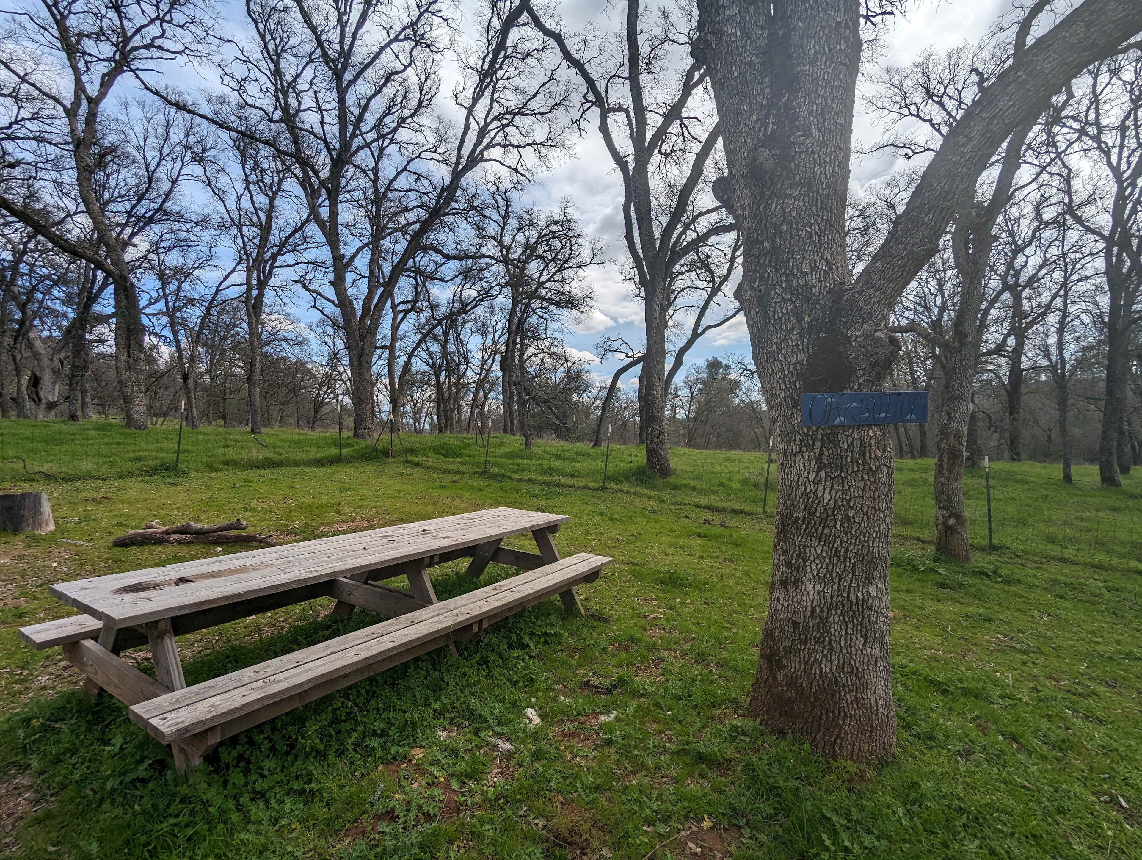 Oak Bottom camp site with picnic table