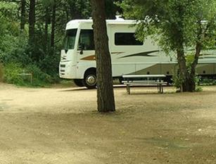 Lone Duck Campground and Cabins