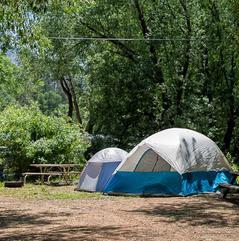 Lone Duck Campground and Cabins