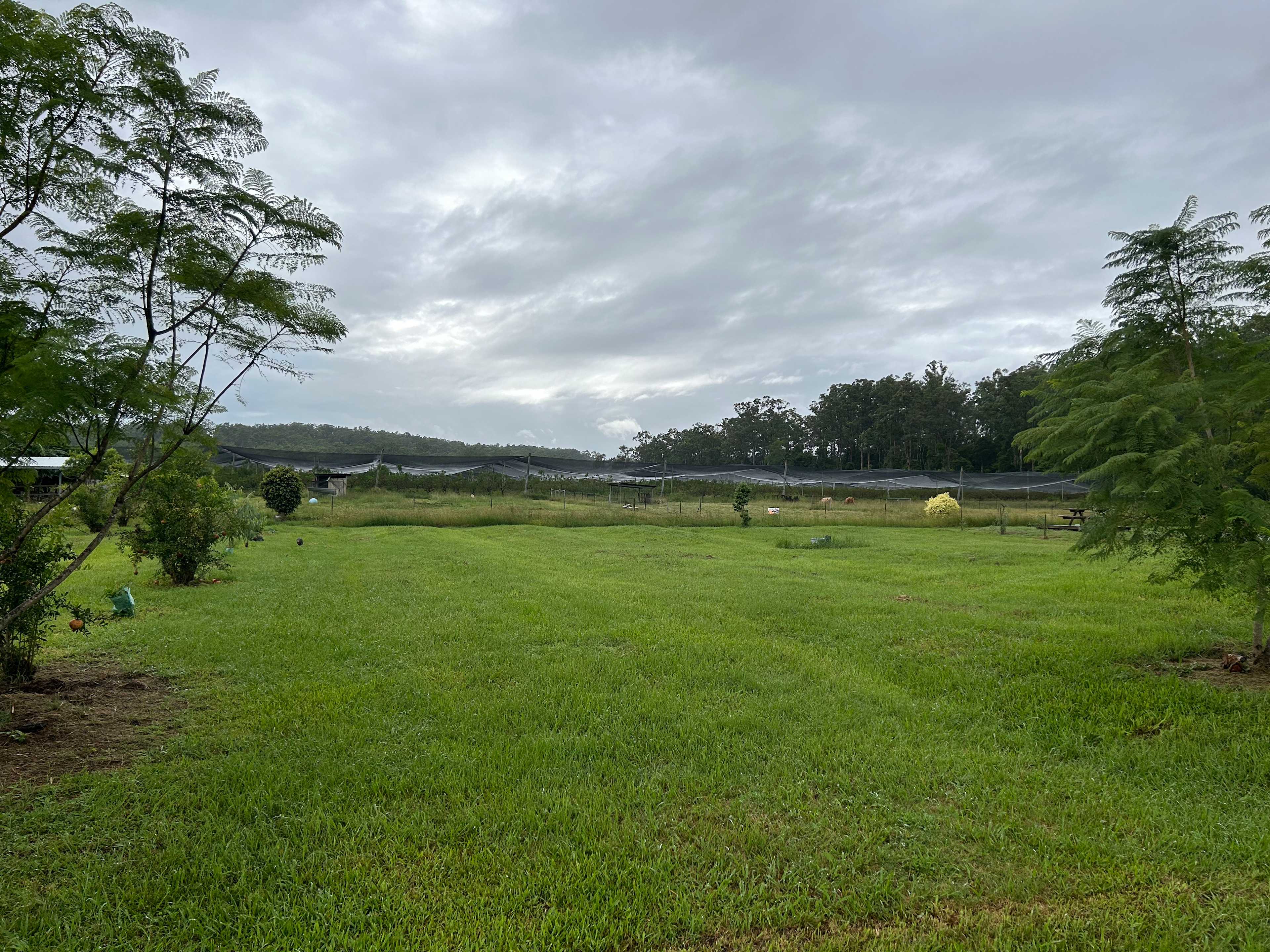 The Peach Farm