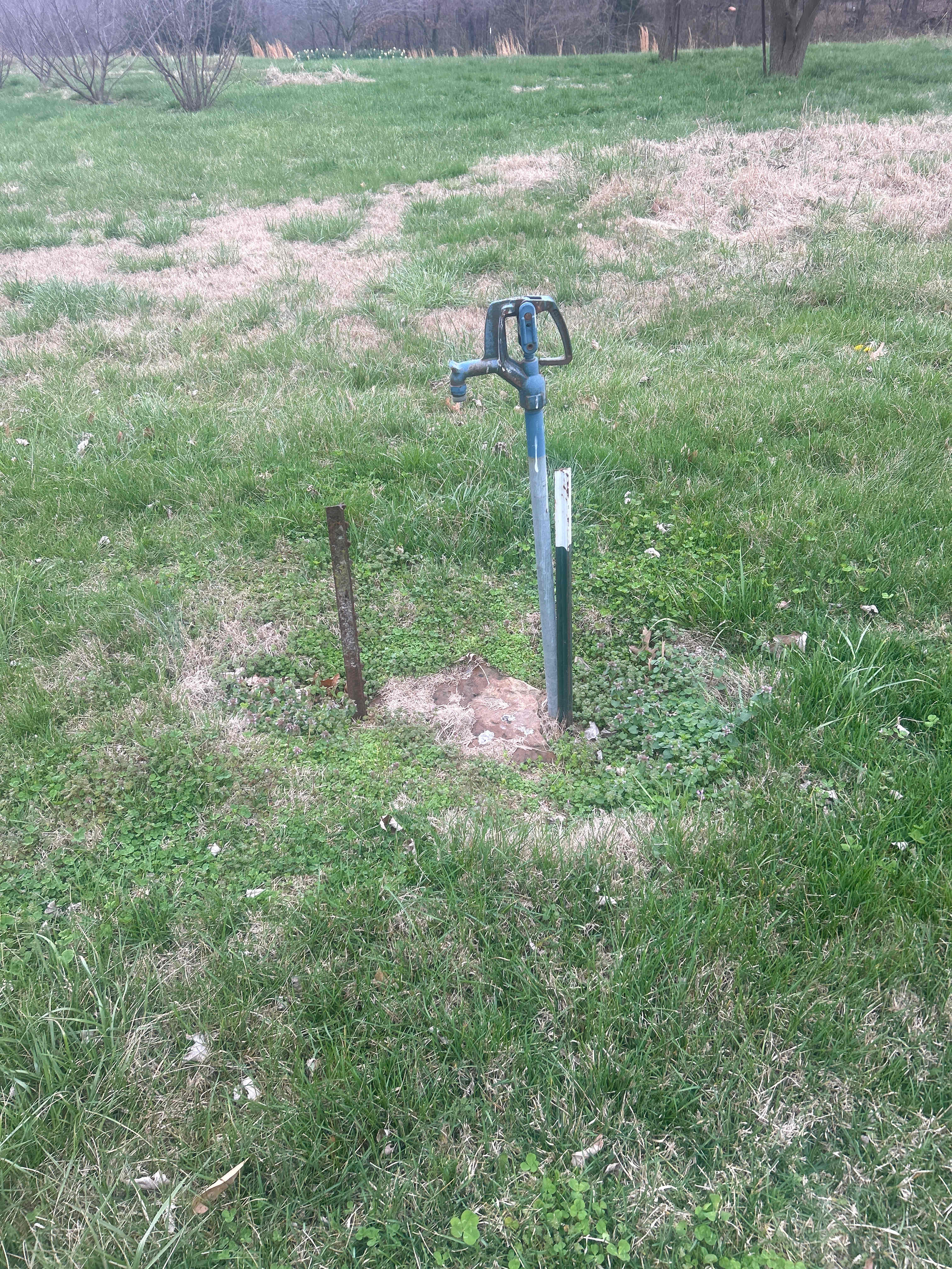 Temple Hill Campground