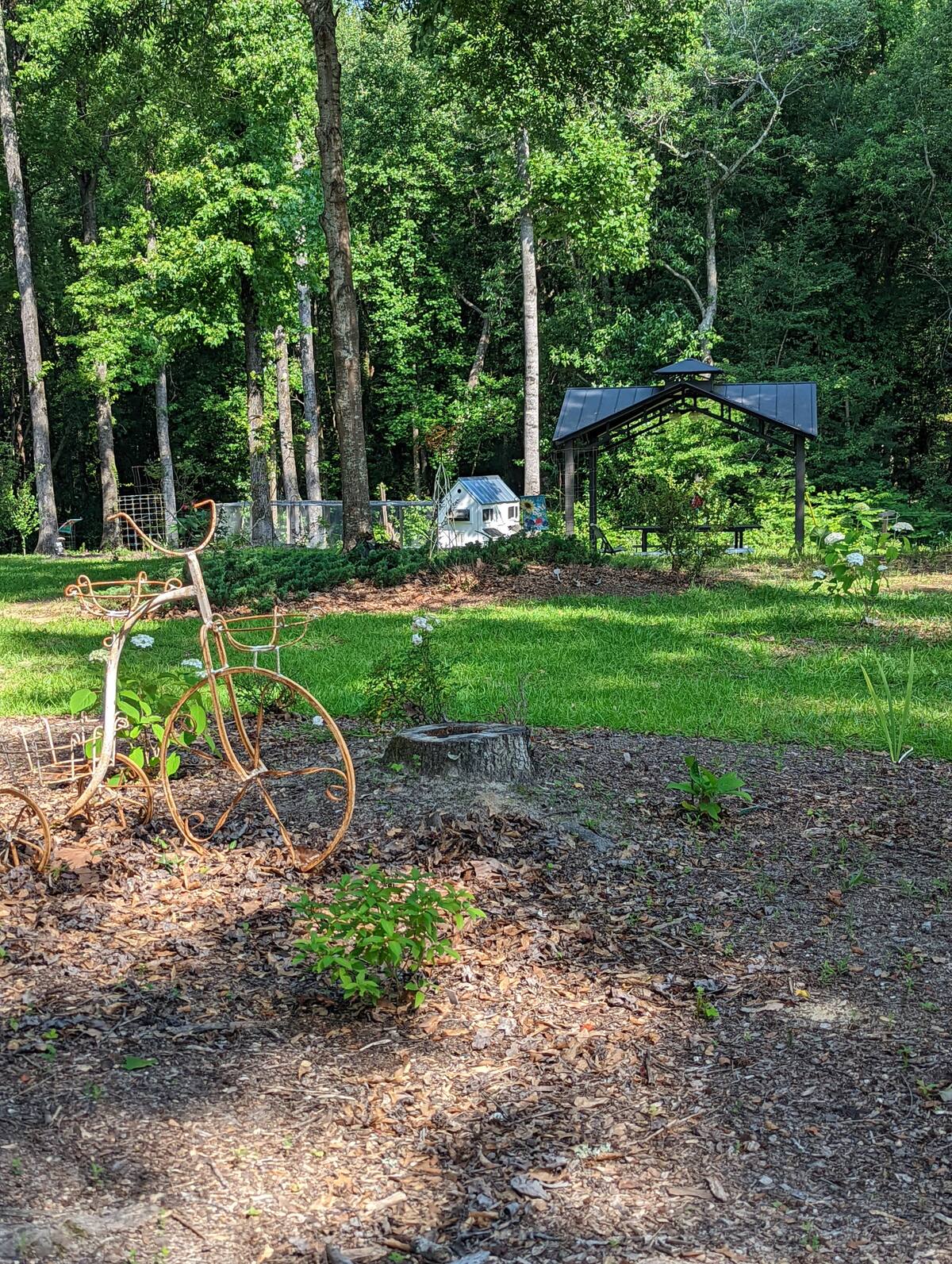 Little Woodland Paradise
