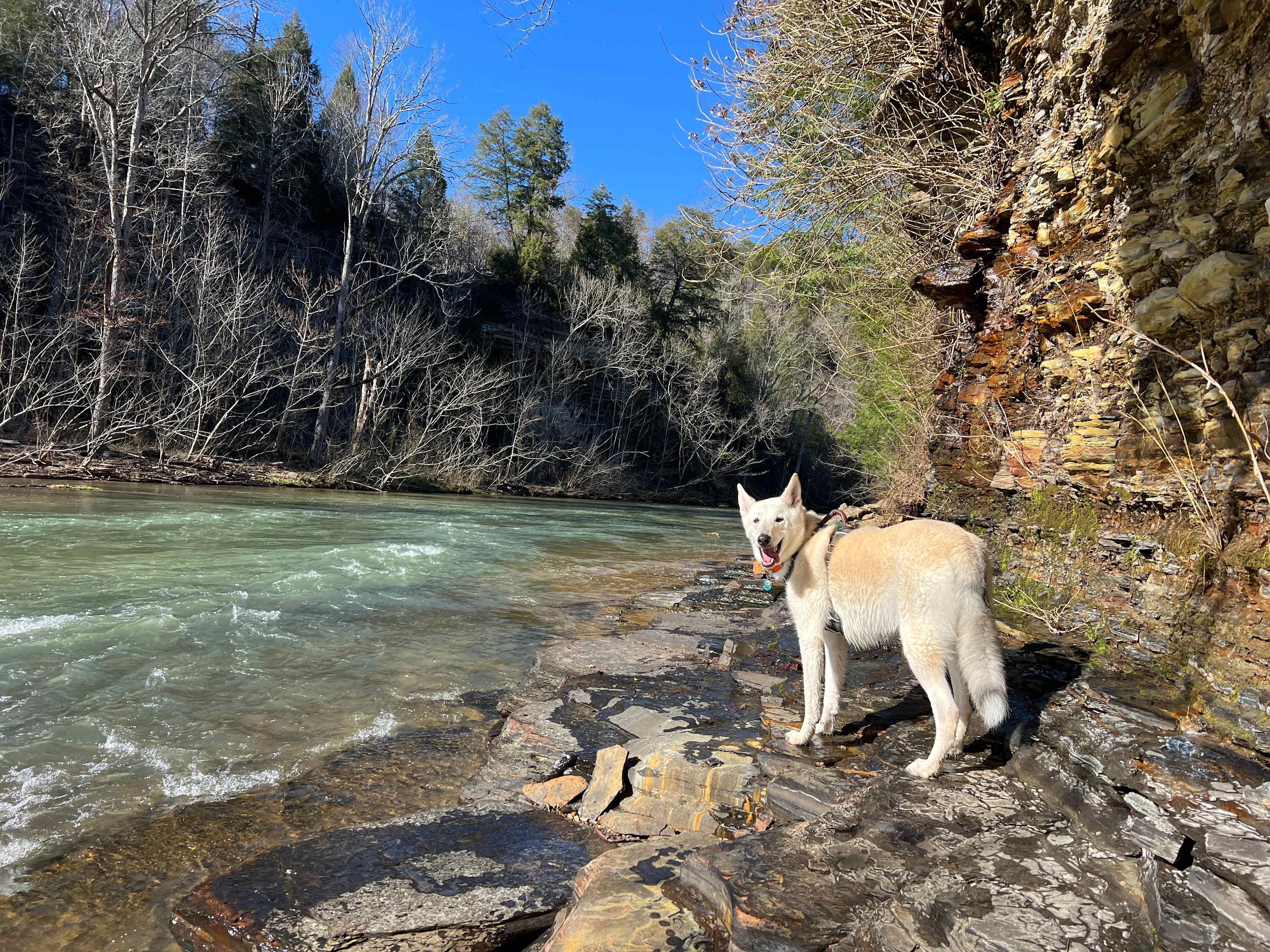 Waterloo Falls
