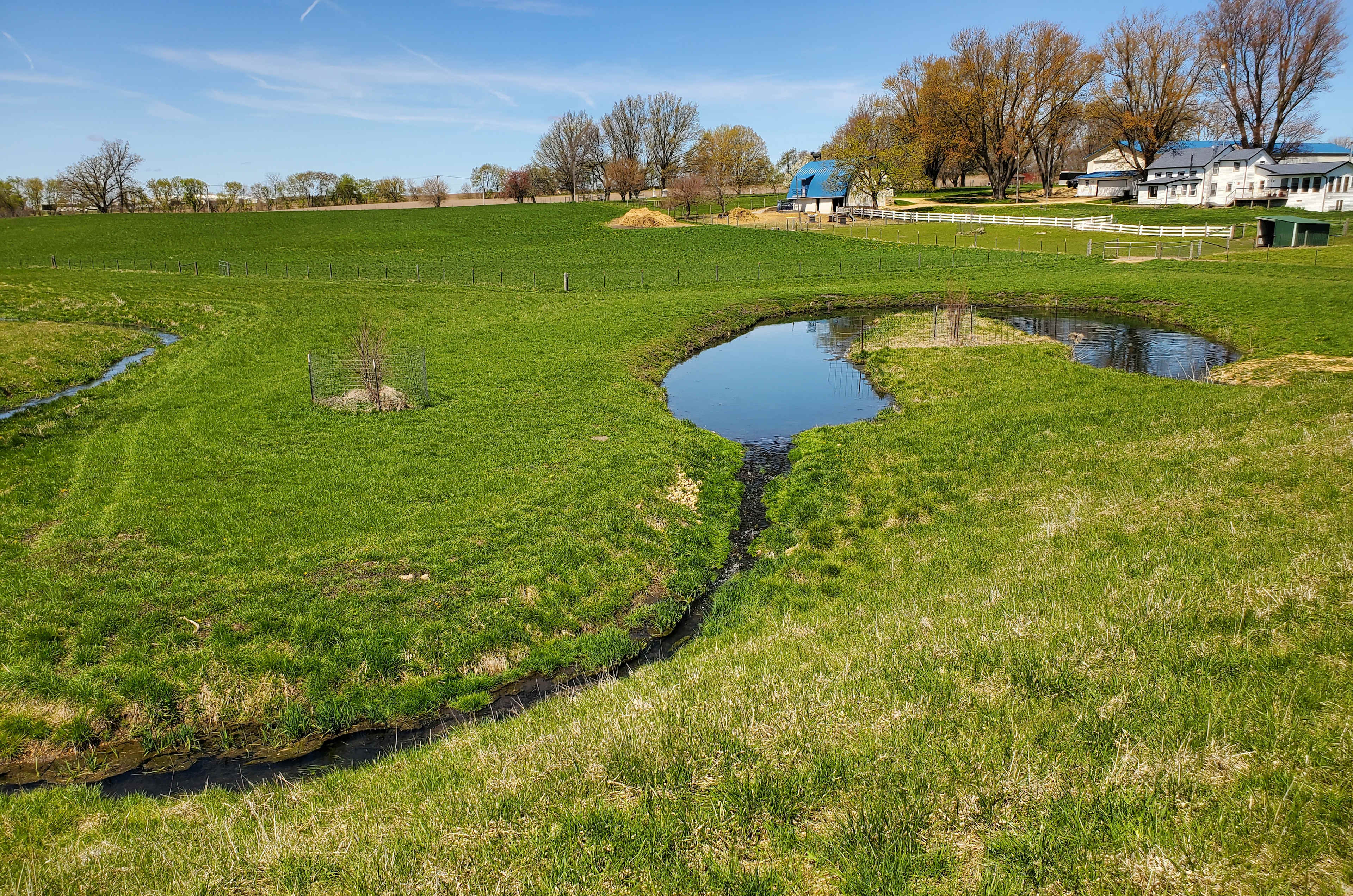 Picture of the site