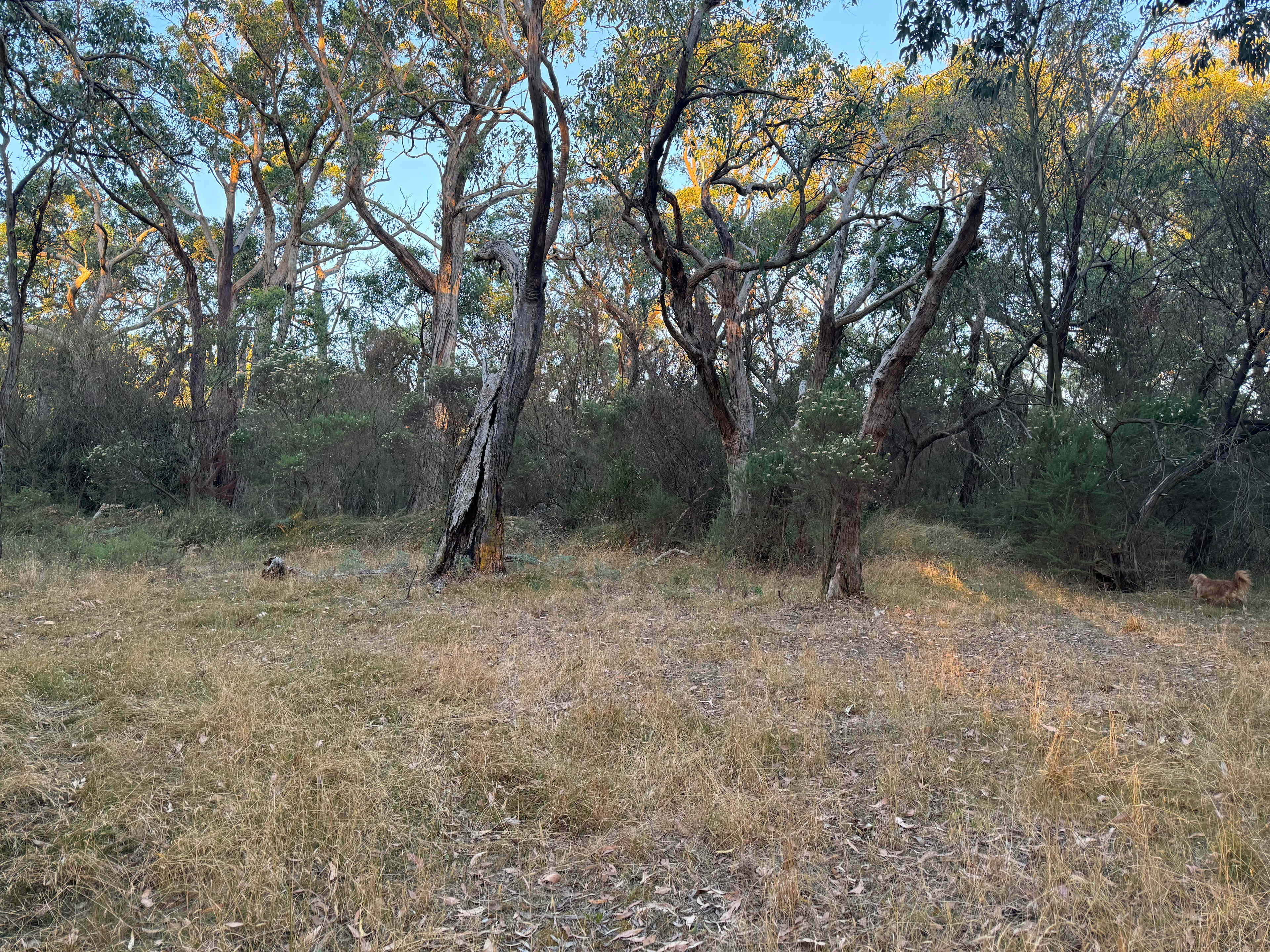 Salt Wood Glamping