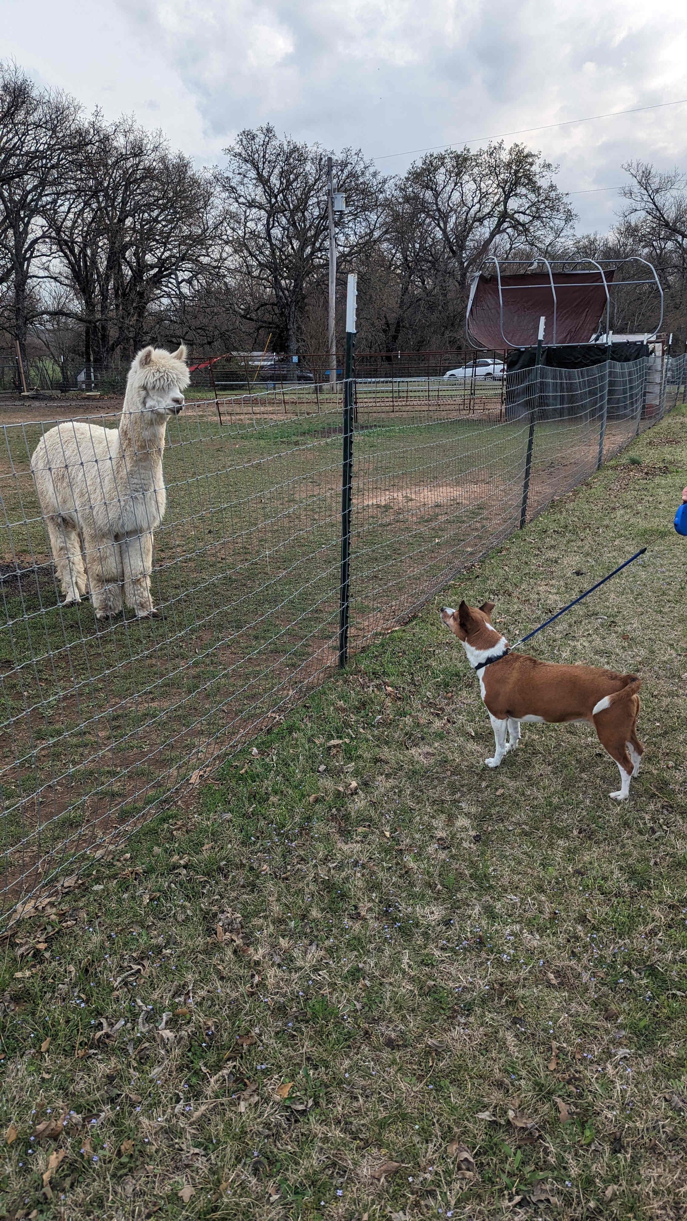 Mana Farm Davis