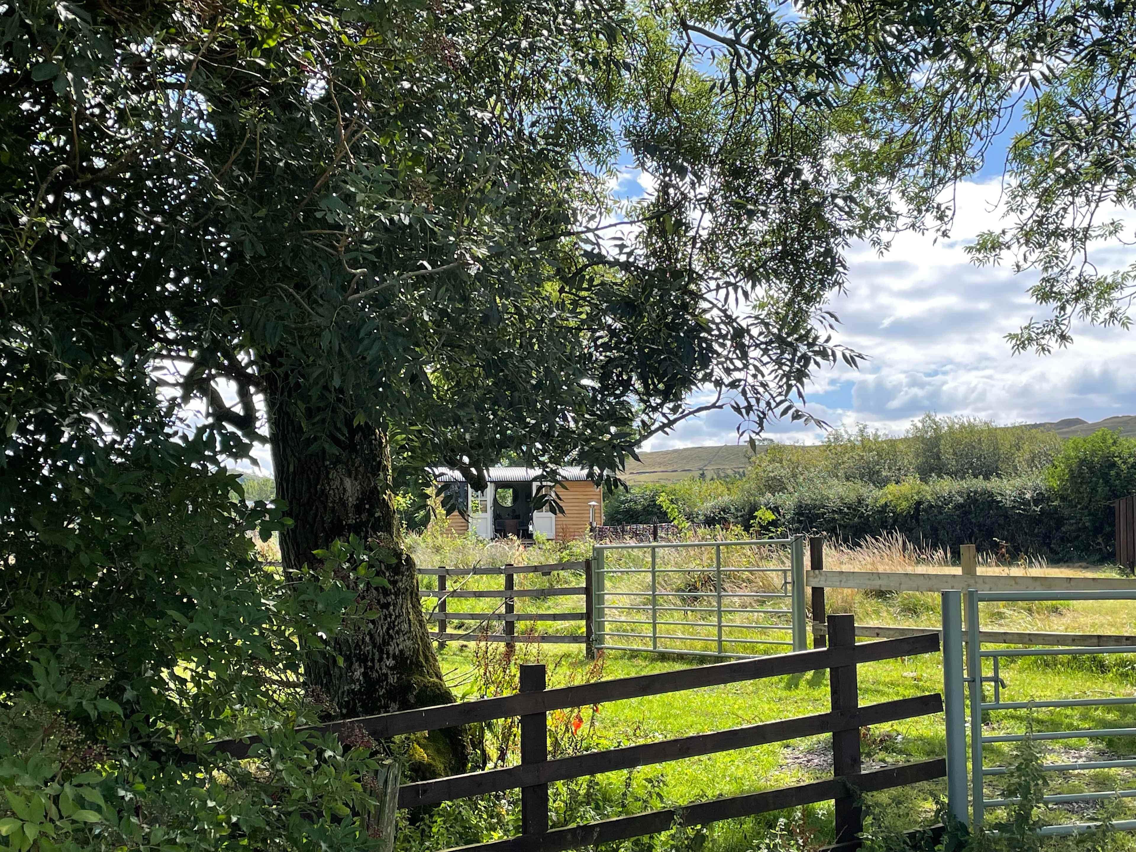 Toadlands Shepherd Huts