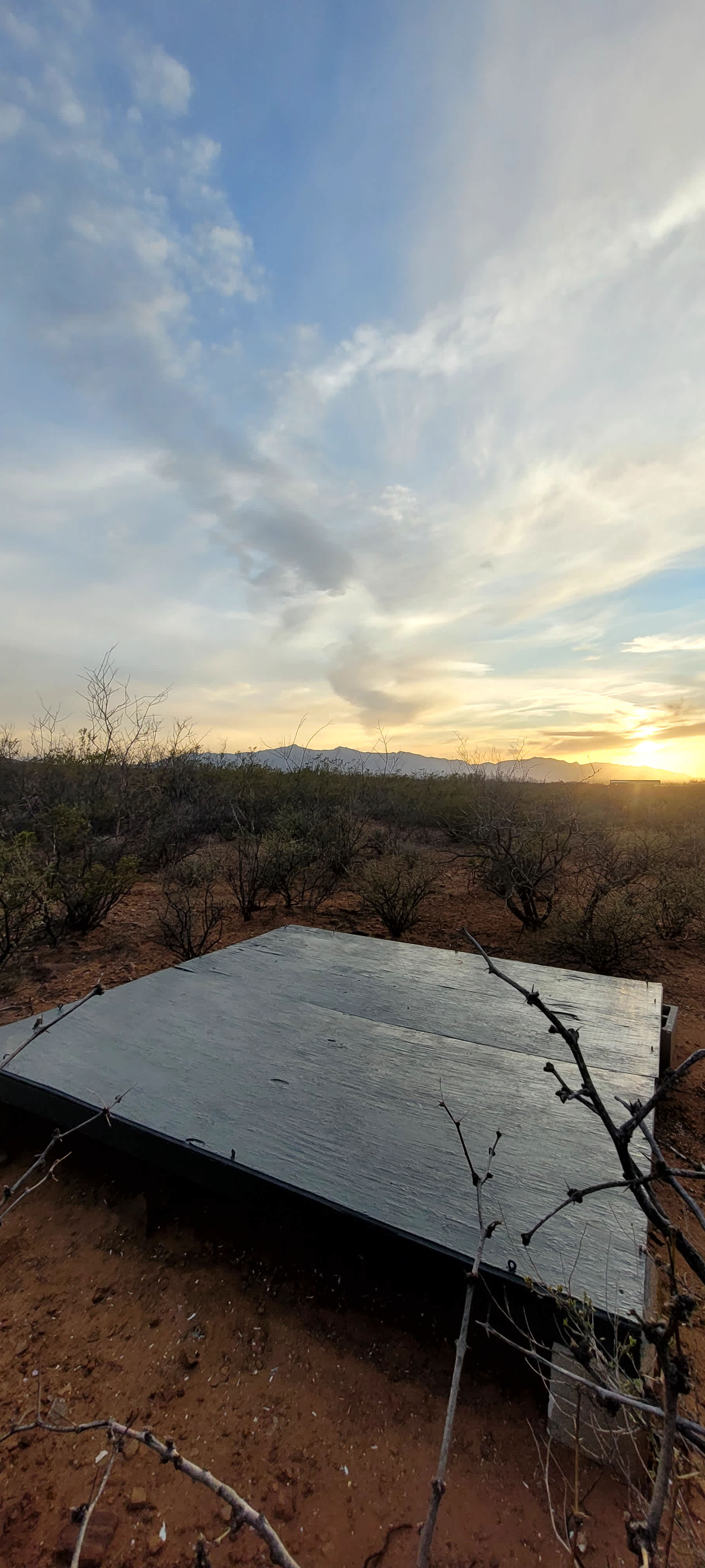 Picture of the site