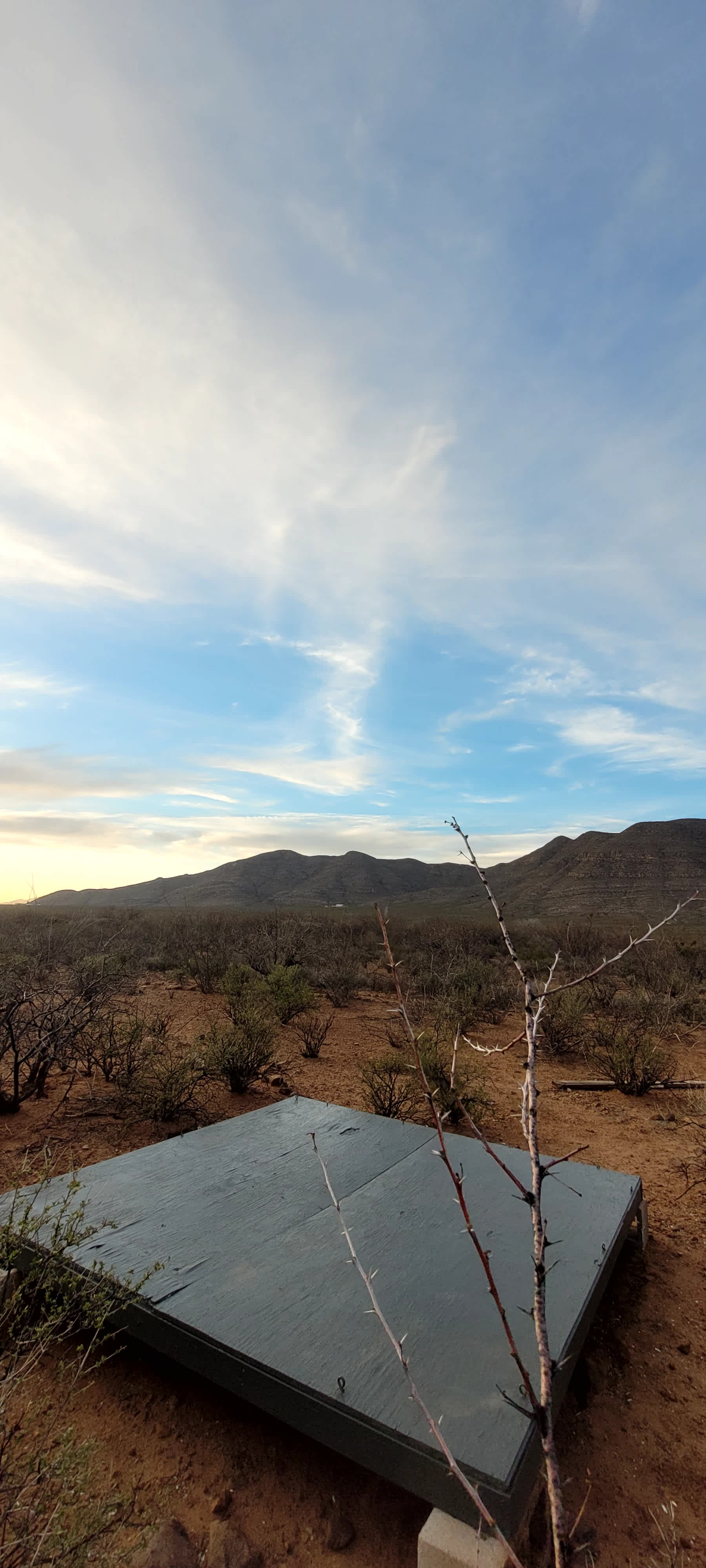 Picture of the site