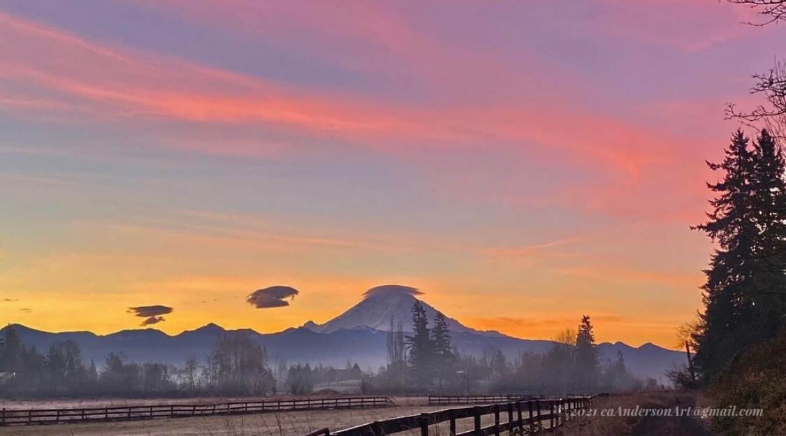 Iz’s Ridge Farmstead Estate