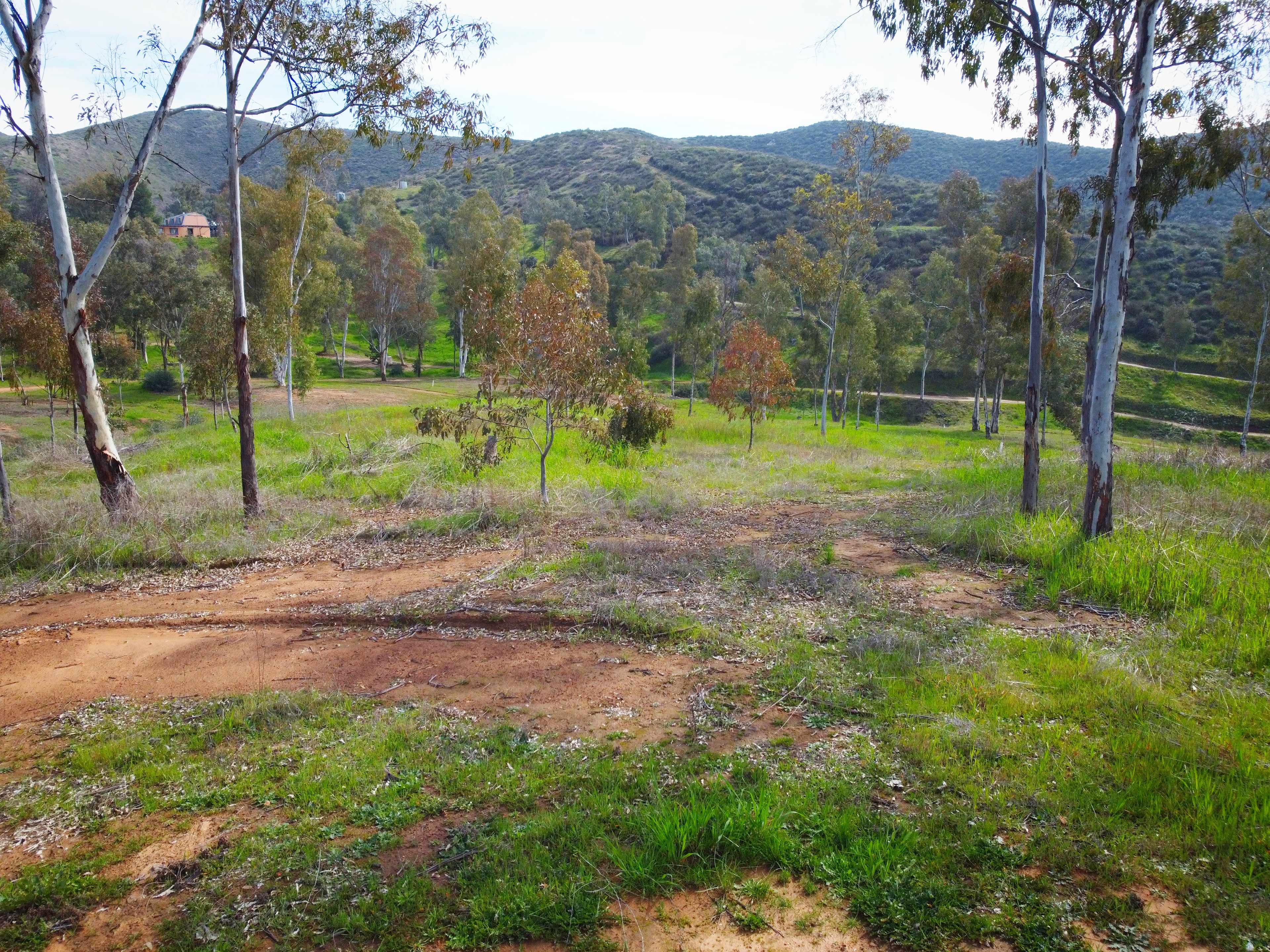 Our sites feature flat, level tent and parking spots with easy access. 