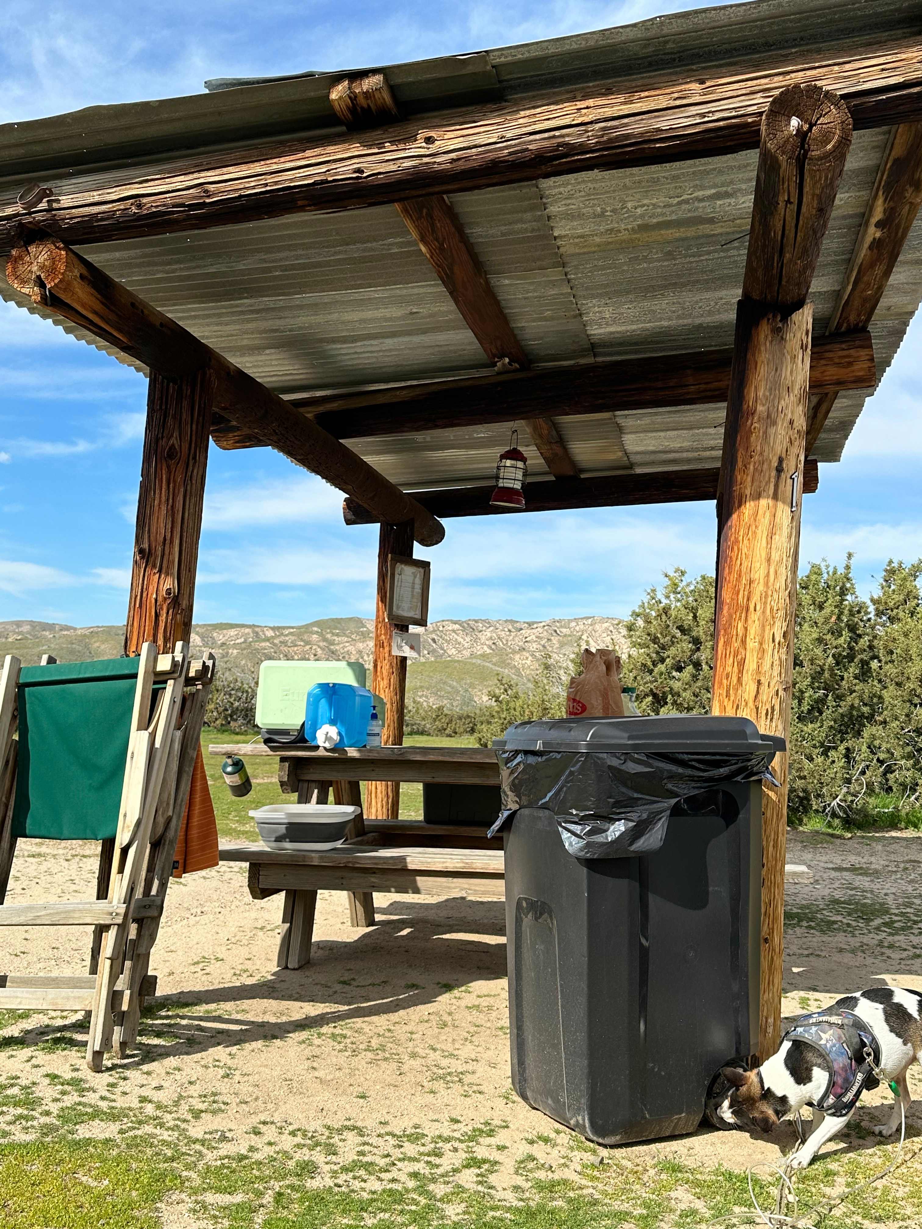 Picture of the site