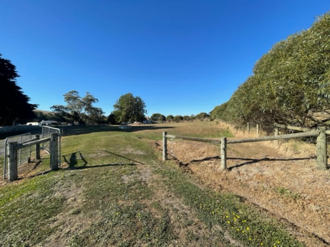 The Wak Paddock