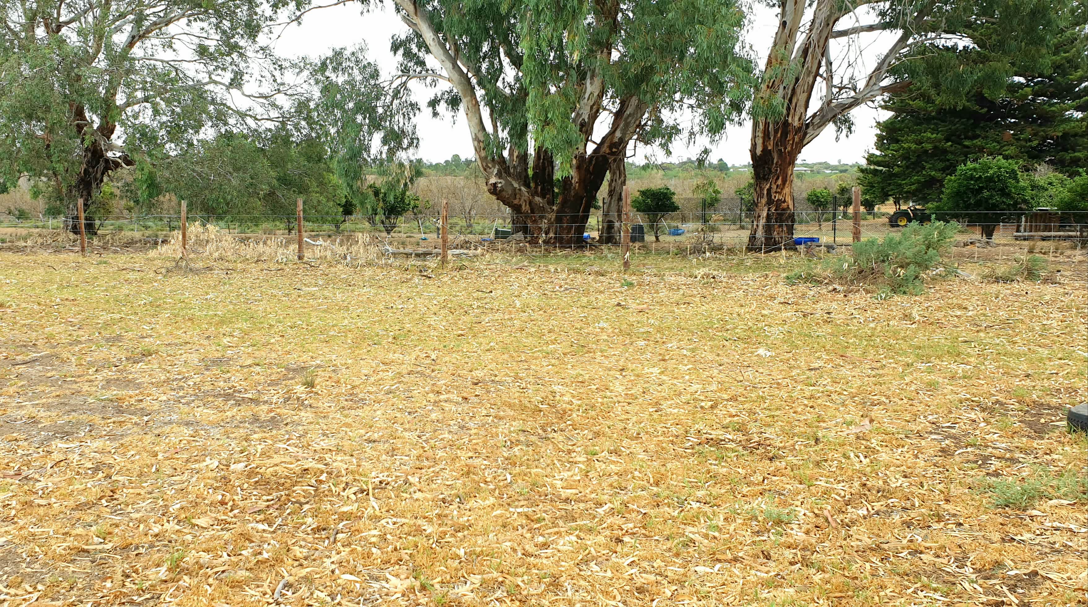 Carolyn's Farm