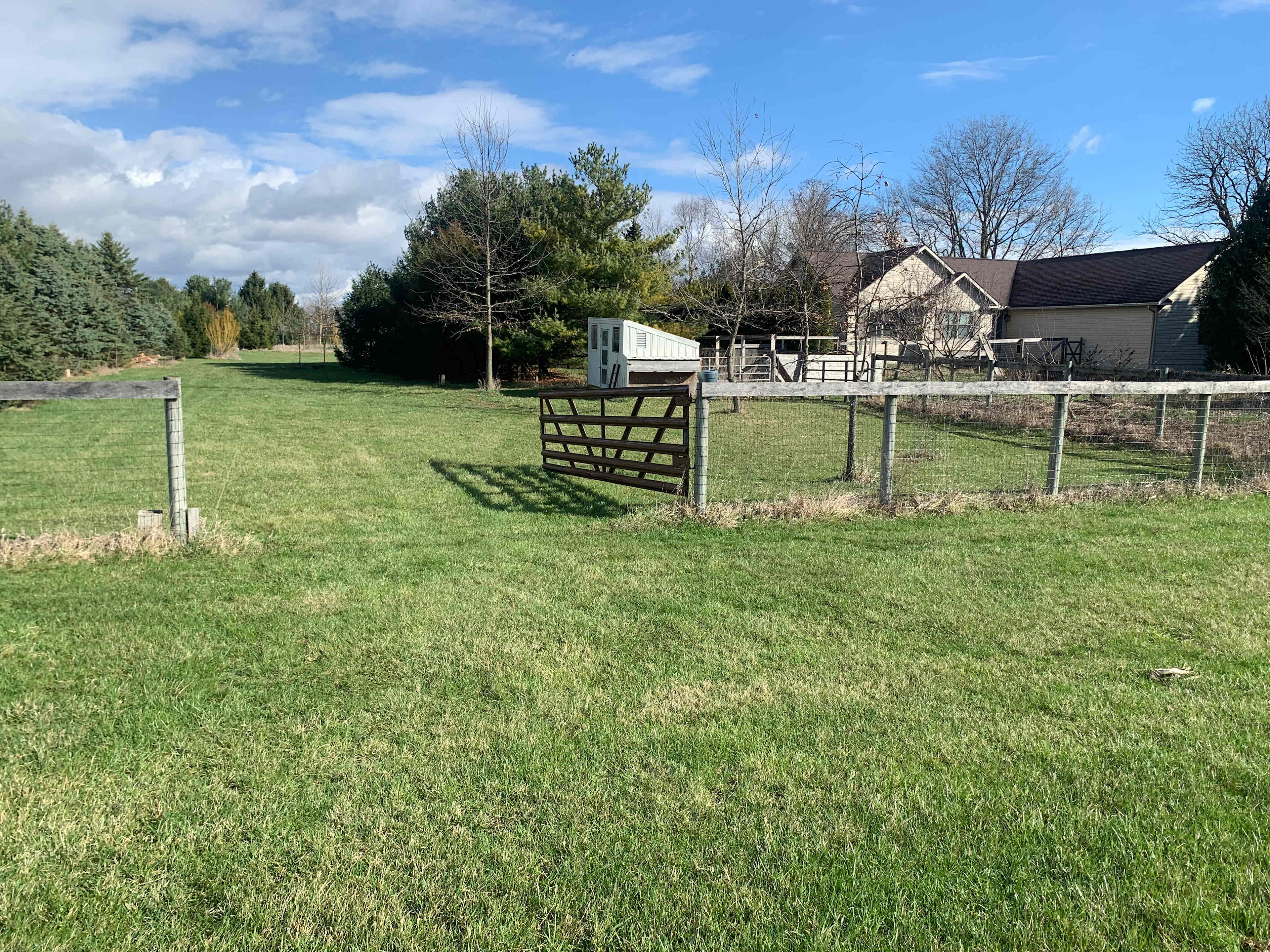 BubbaSchottMiles Farm West Pasture