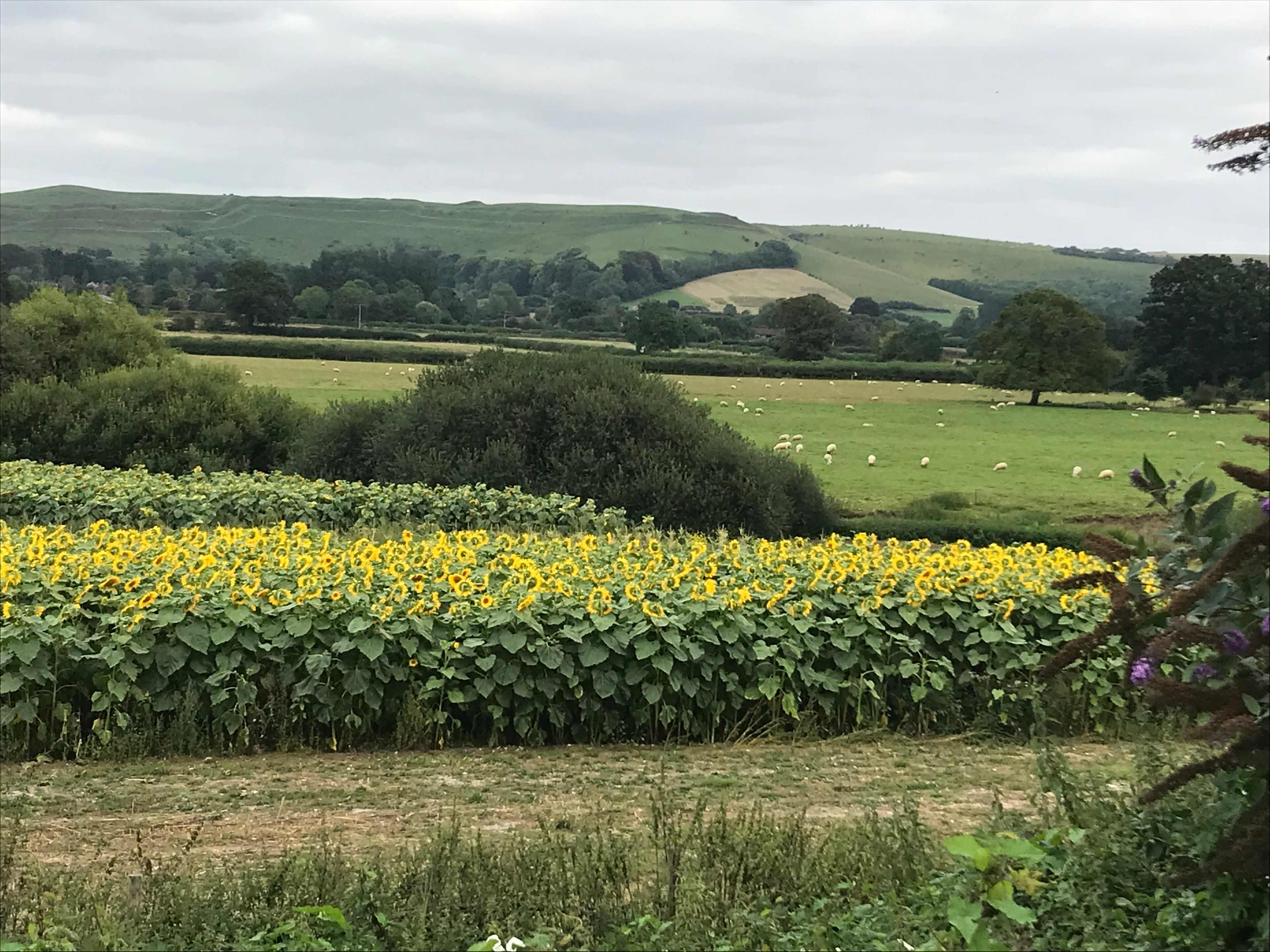 Haywards Bridge Farm