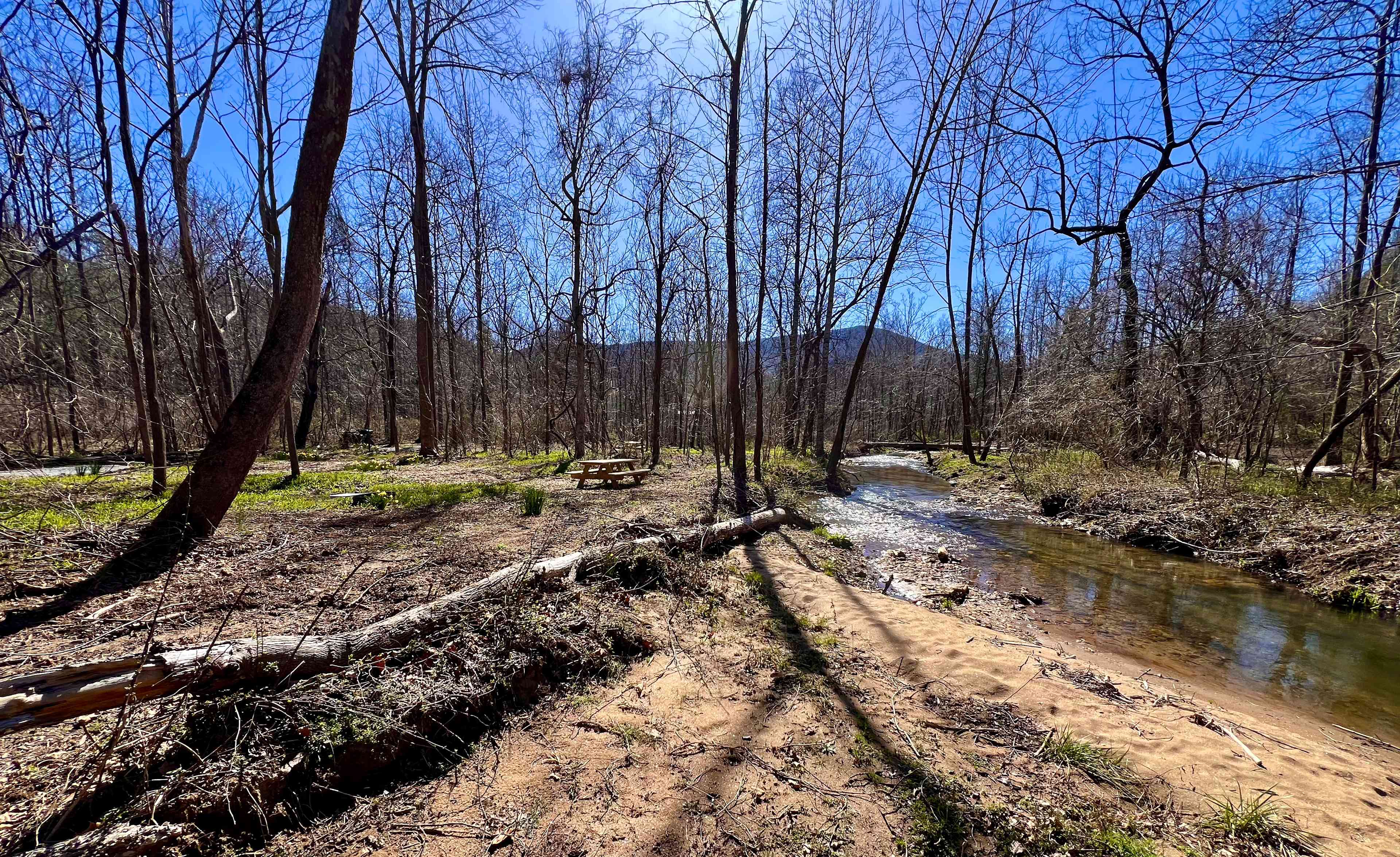 Picture of the site