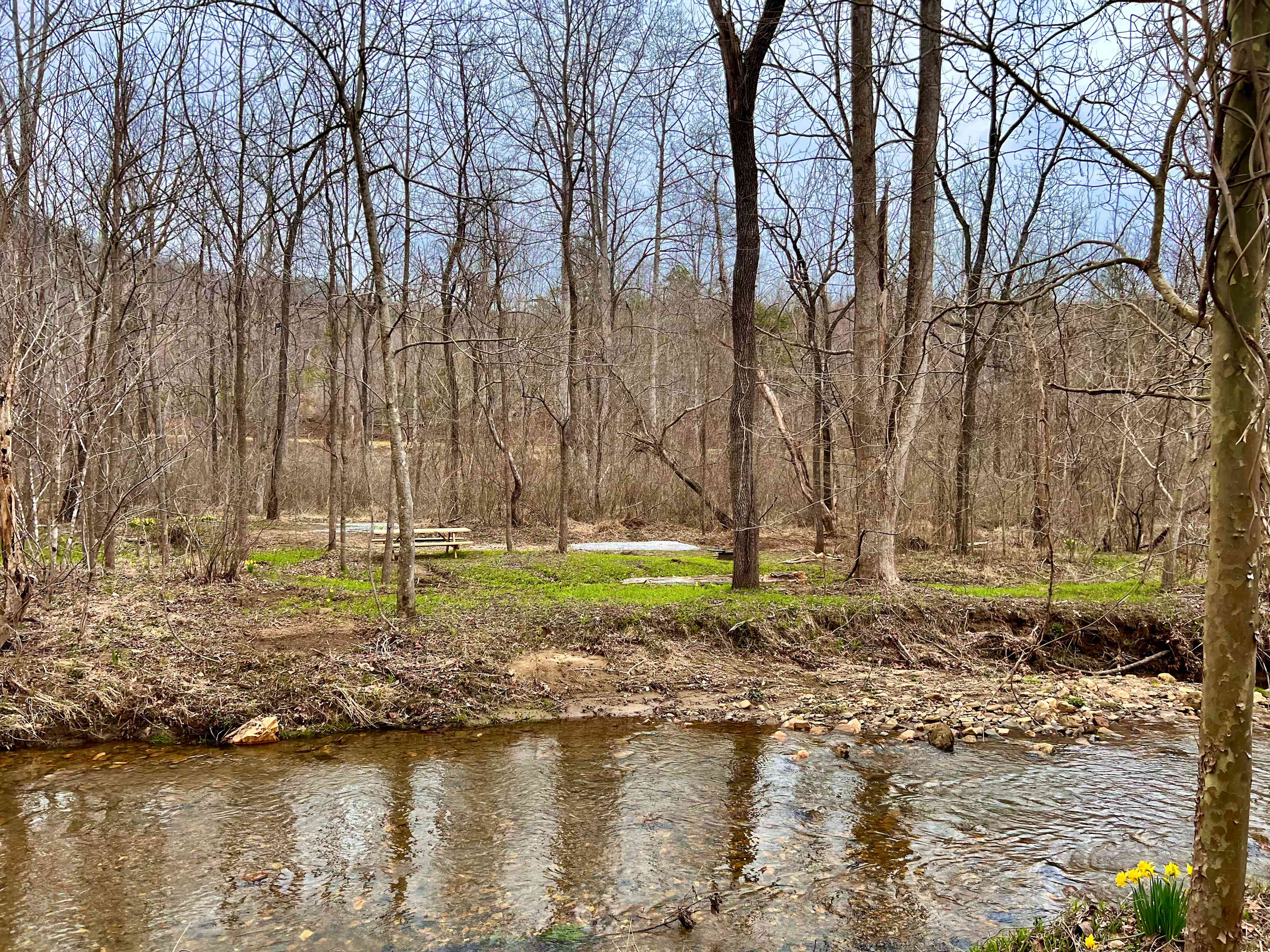 TangleWood Creekside Campsites