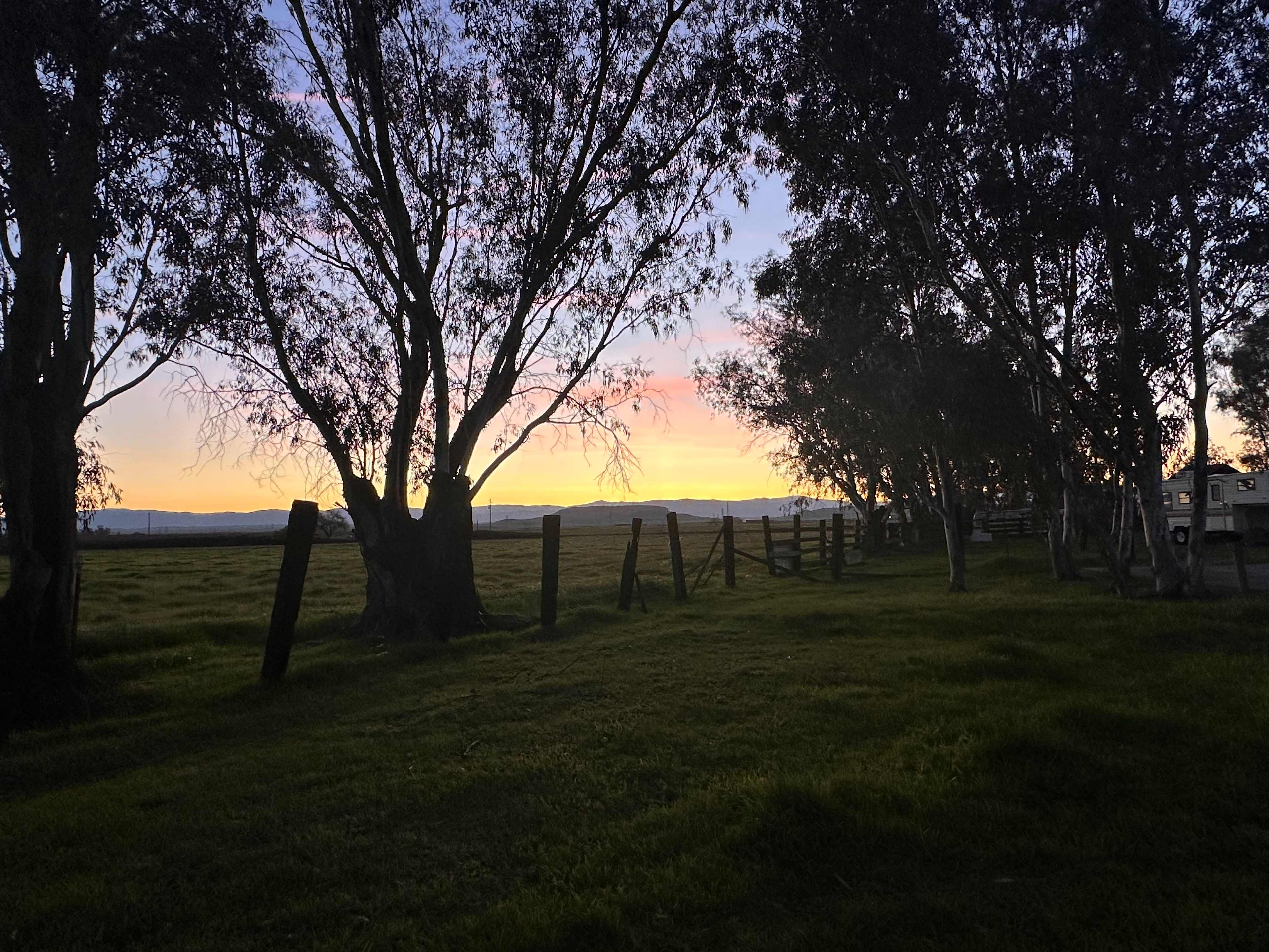 Websters Farm