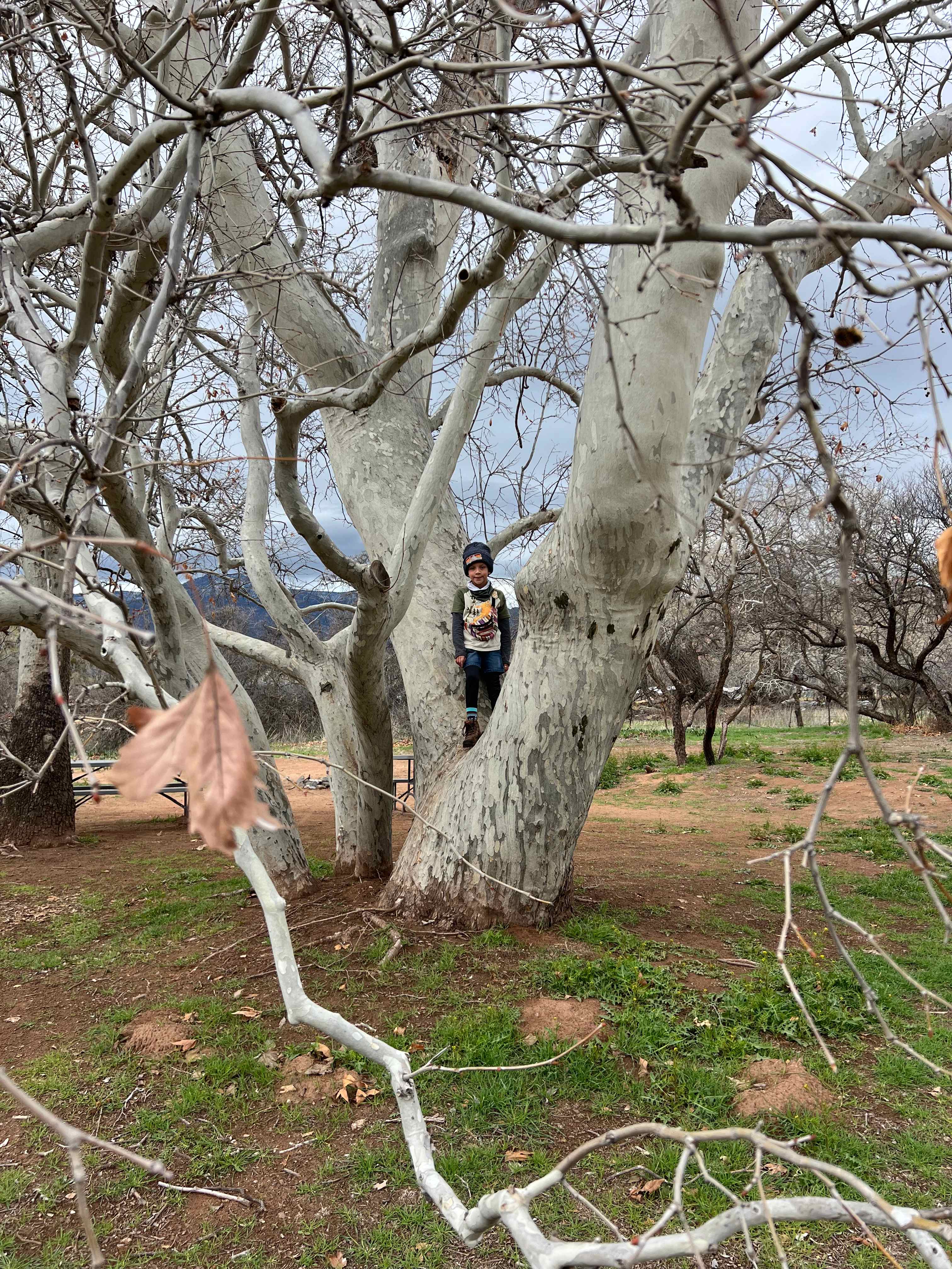 Hawks Hideaway Camping, LLC