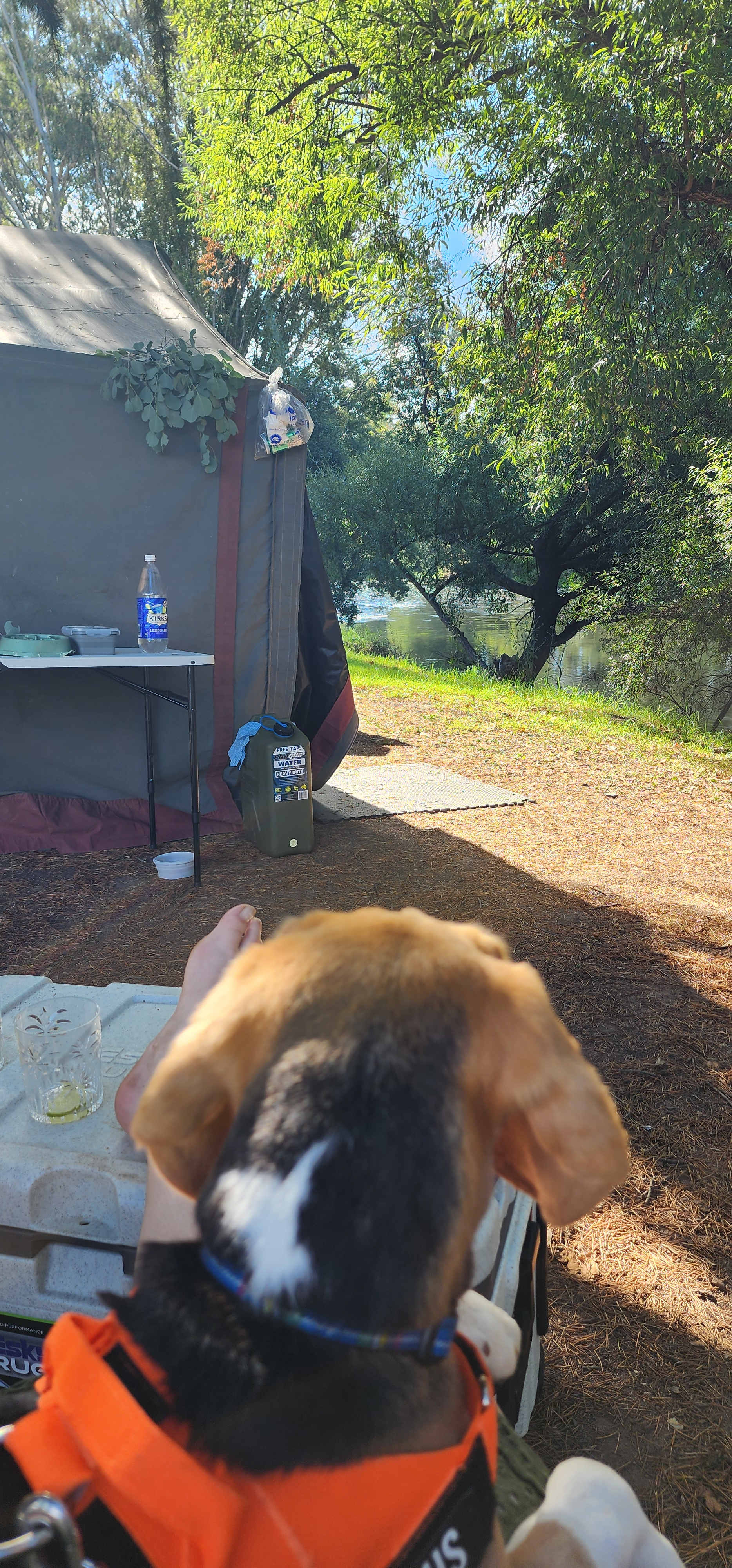 Chilling by the river