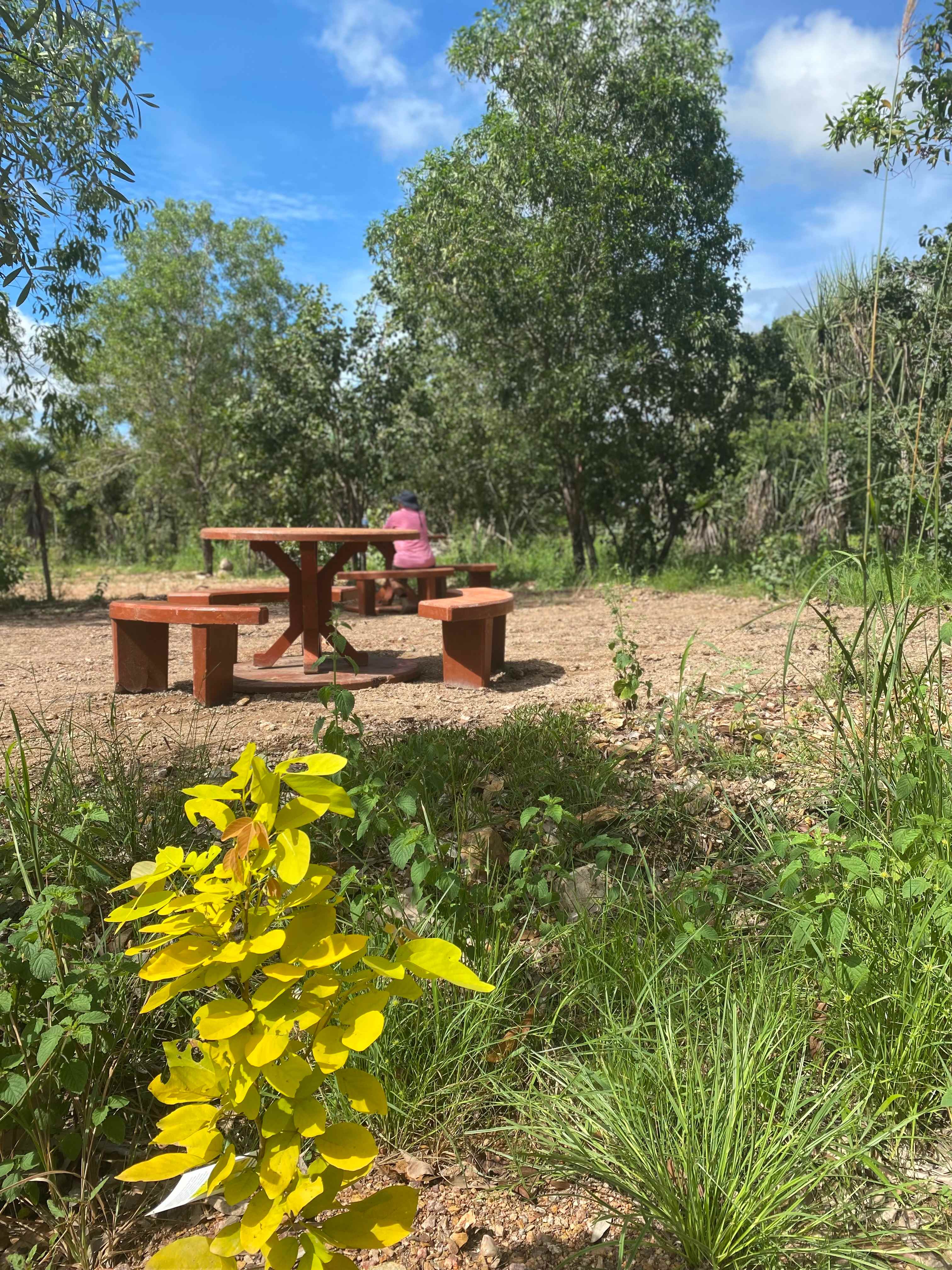 Berry Springs Park and Stay
