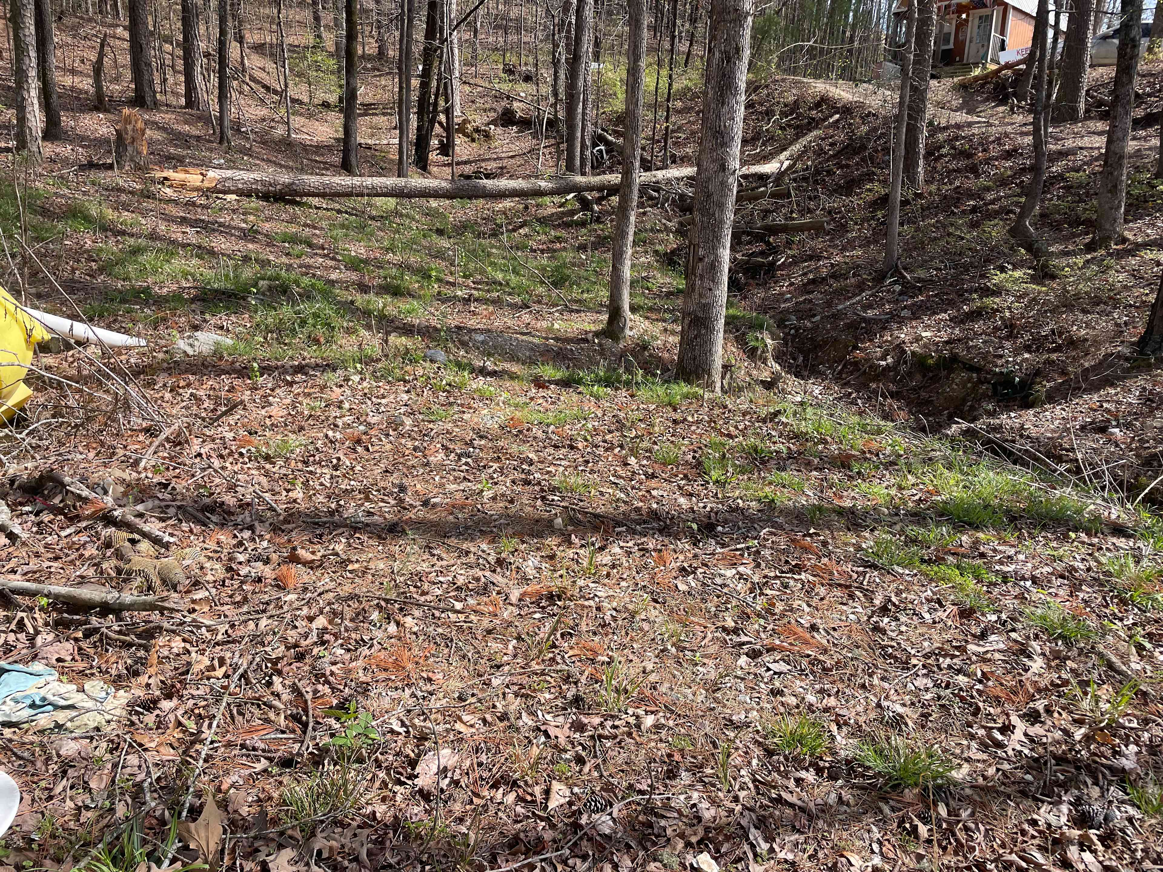 campsite area