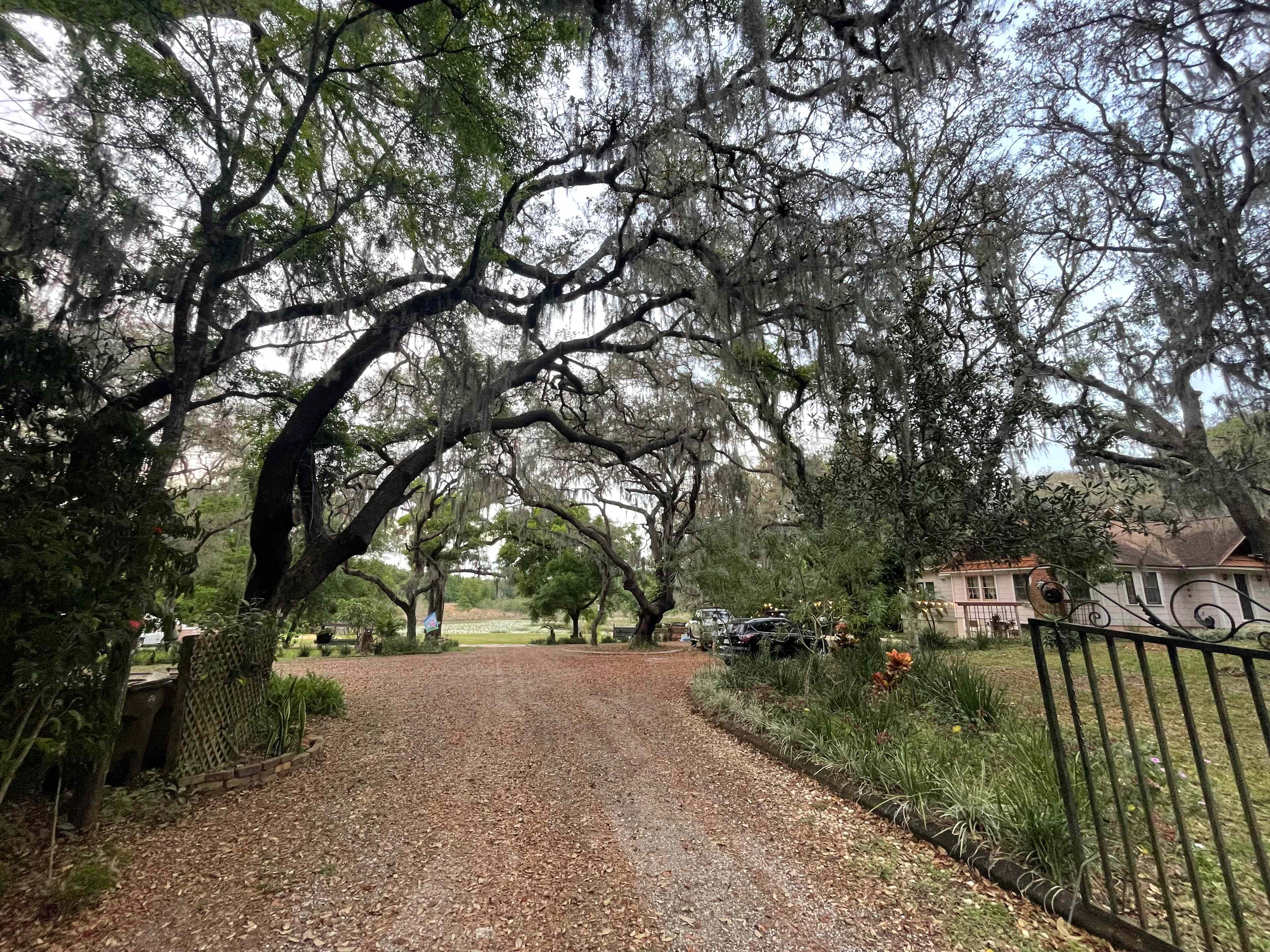 At Shady Oaks