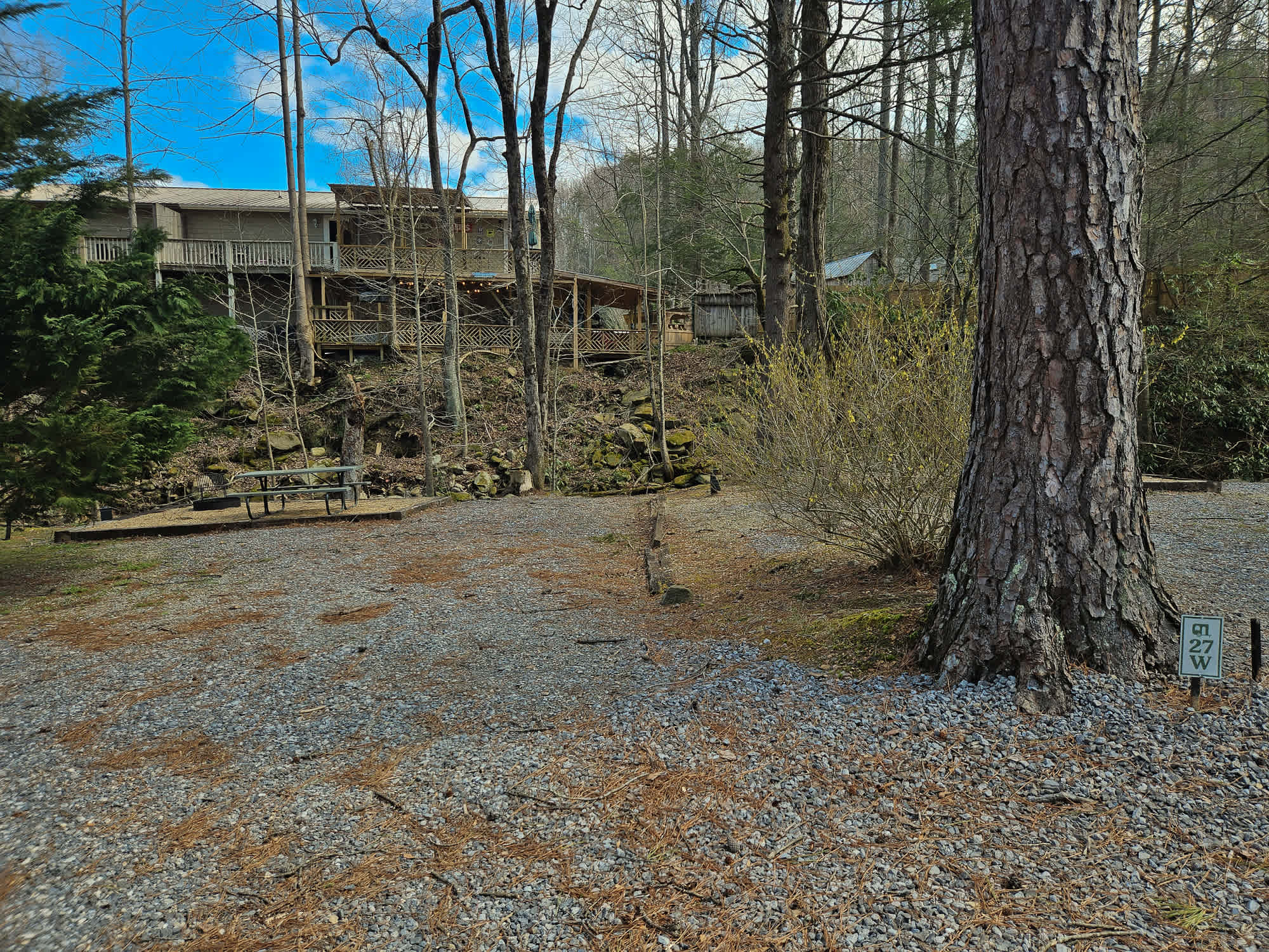 Picture of the site