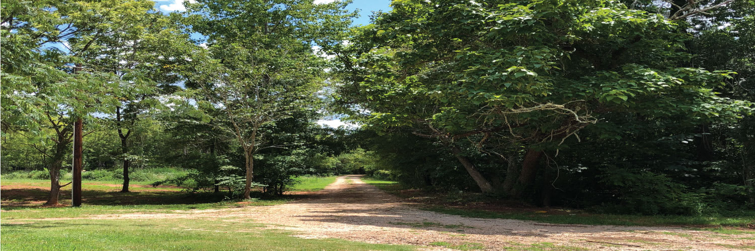 Black Walnut Farmstead
