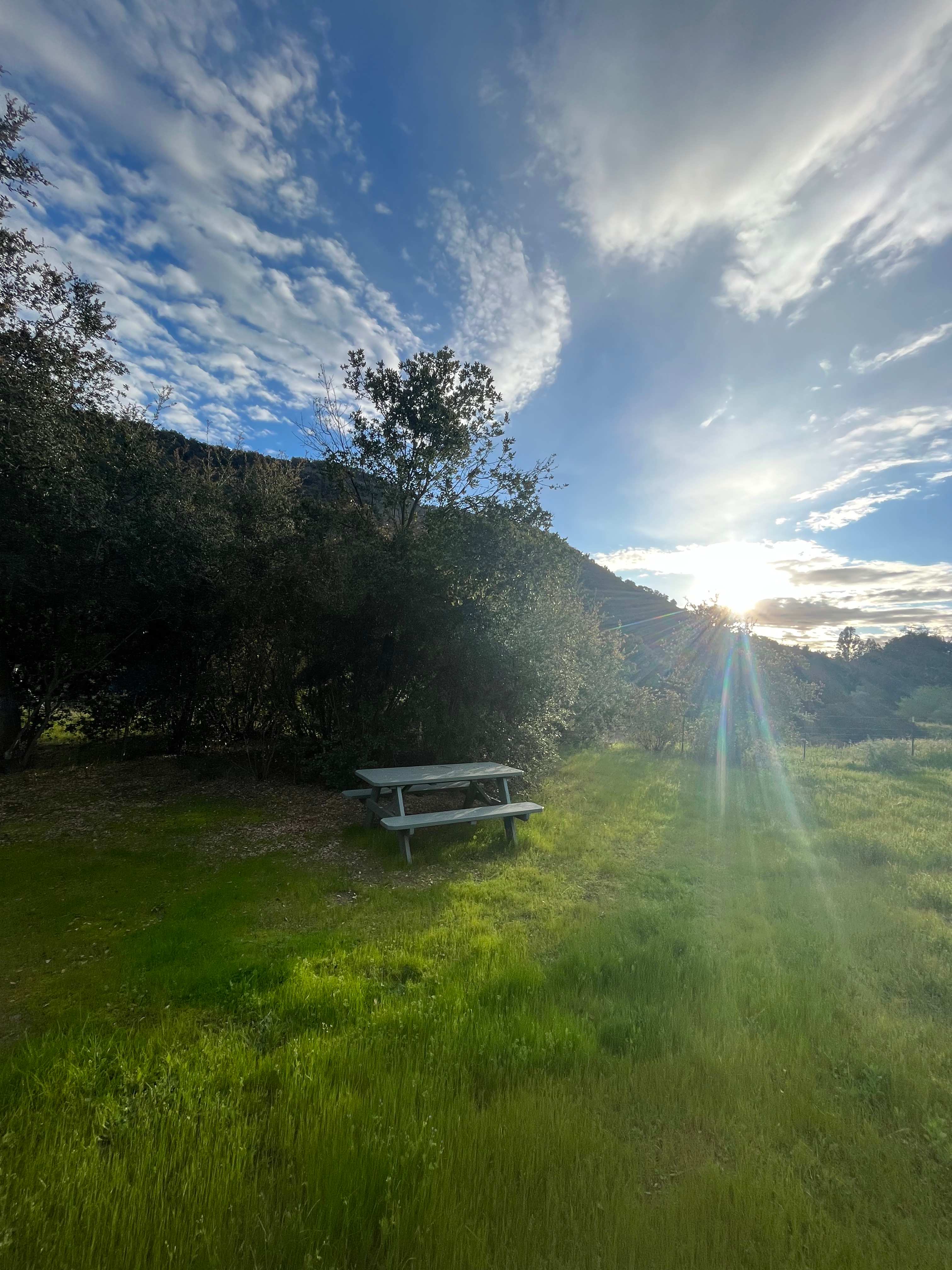 Bench Site and evening view at The Meadow