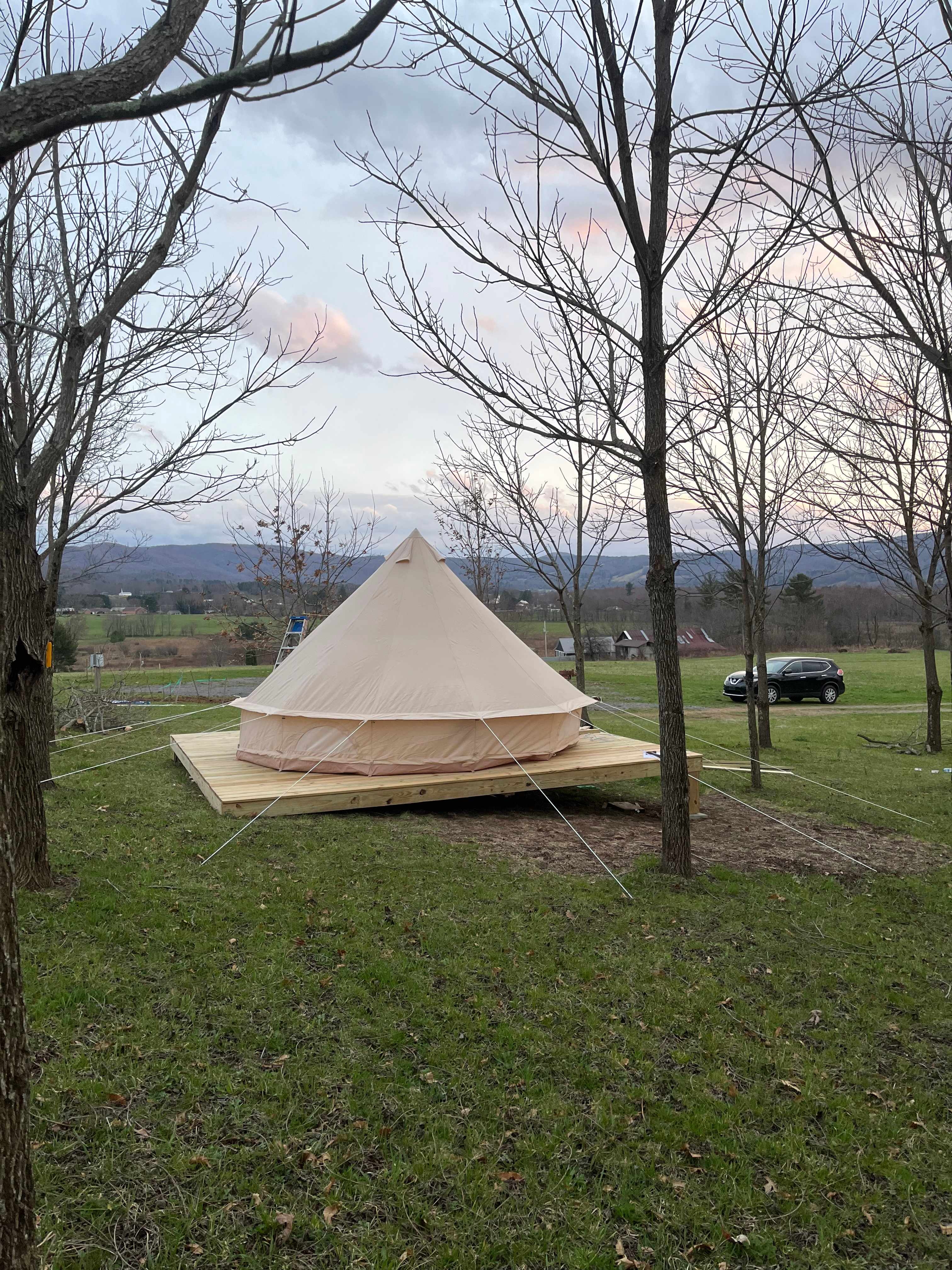 Picture of the site