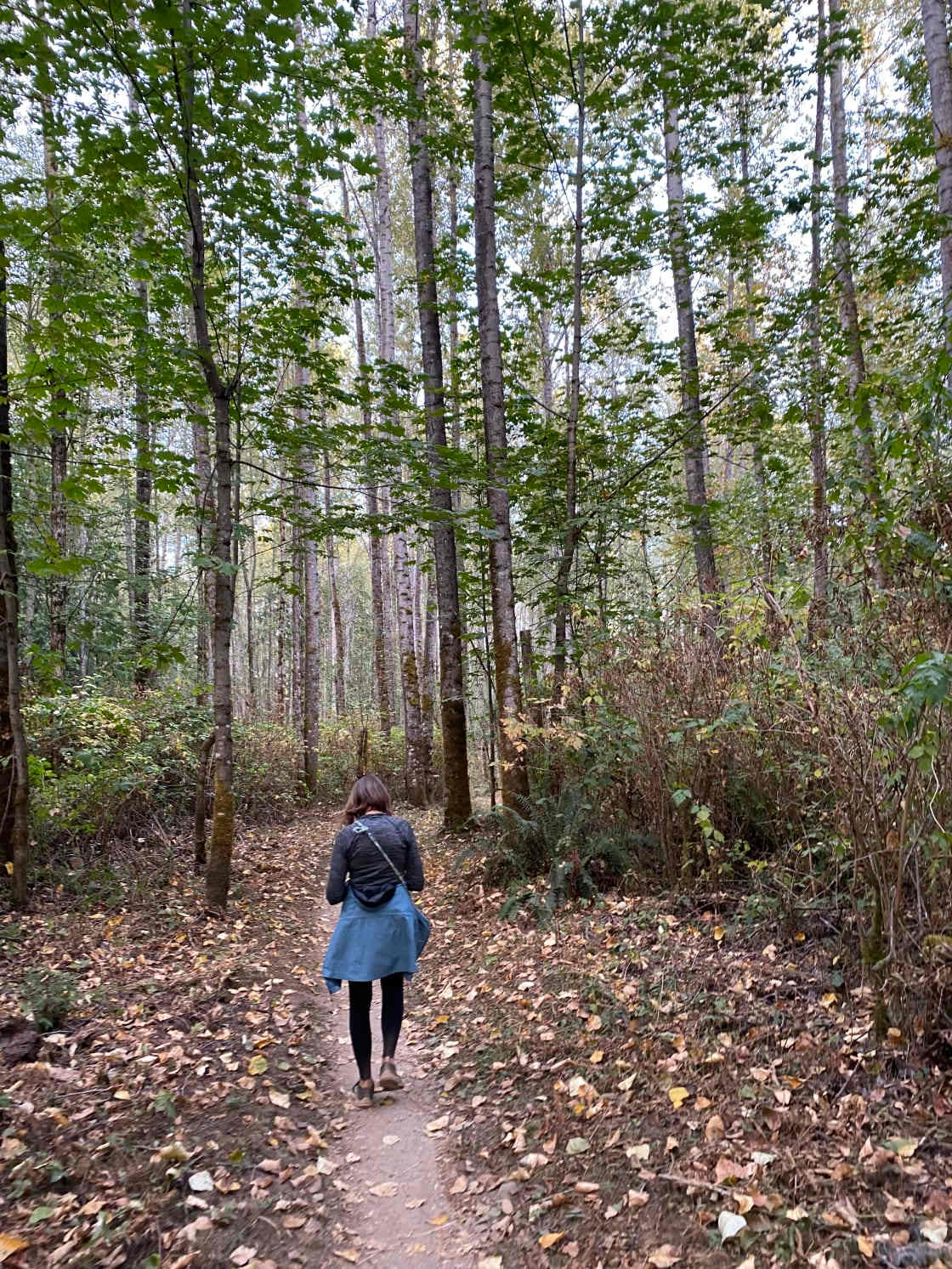 まさモン　WANTKEY CAMP W-DAN(rodan) まさモン様専用 WANTKEY CAMP W-DAN(rodan)