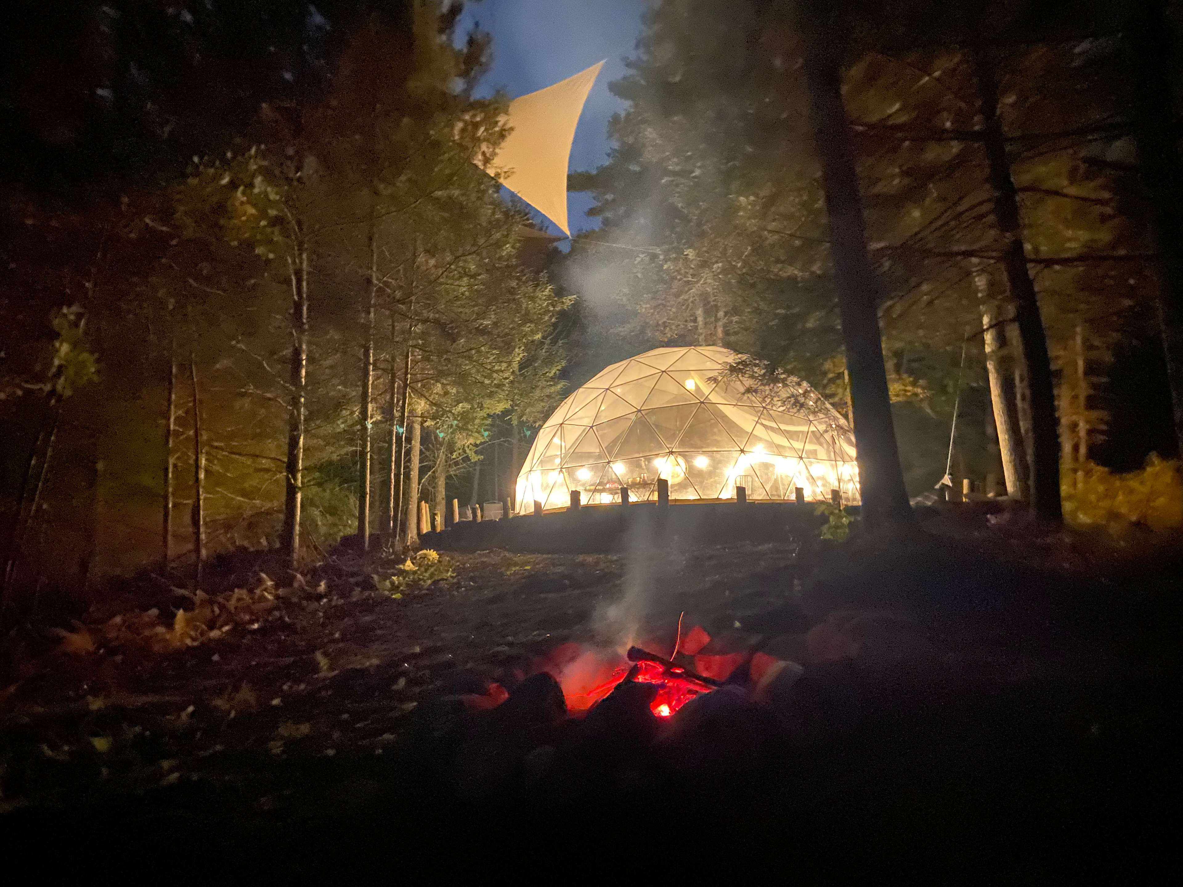 Glamping with the Wild Horses