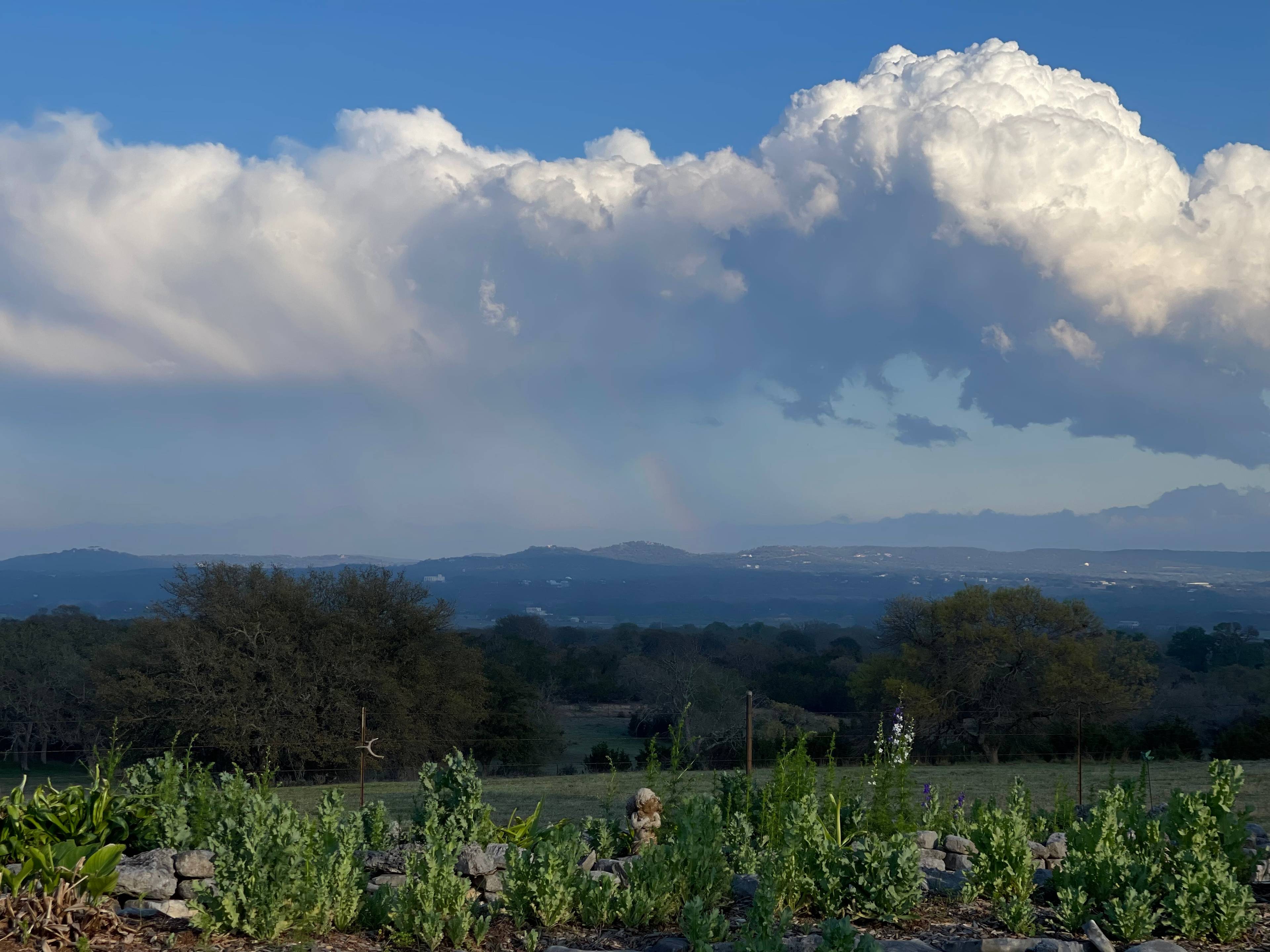 Hill Country Serenity