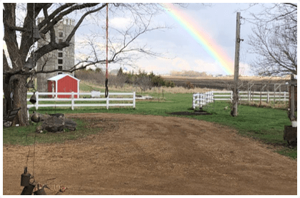 Downhome Country Farm