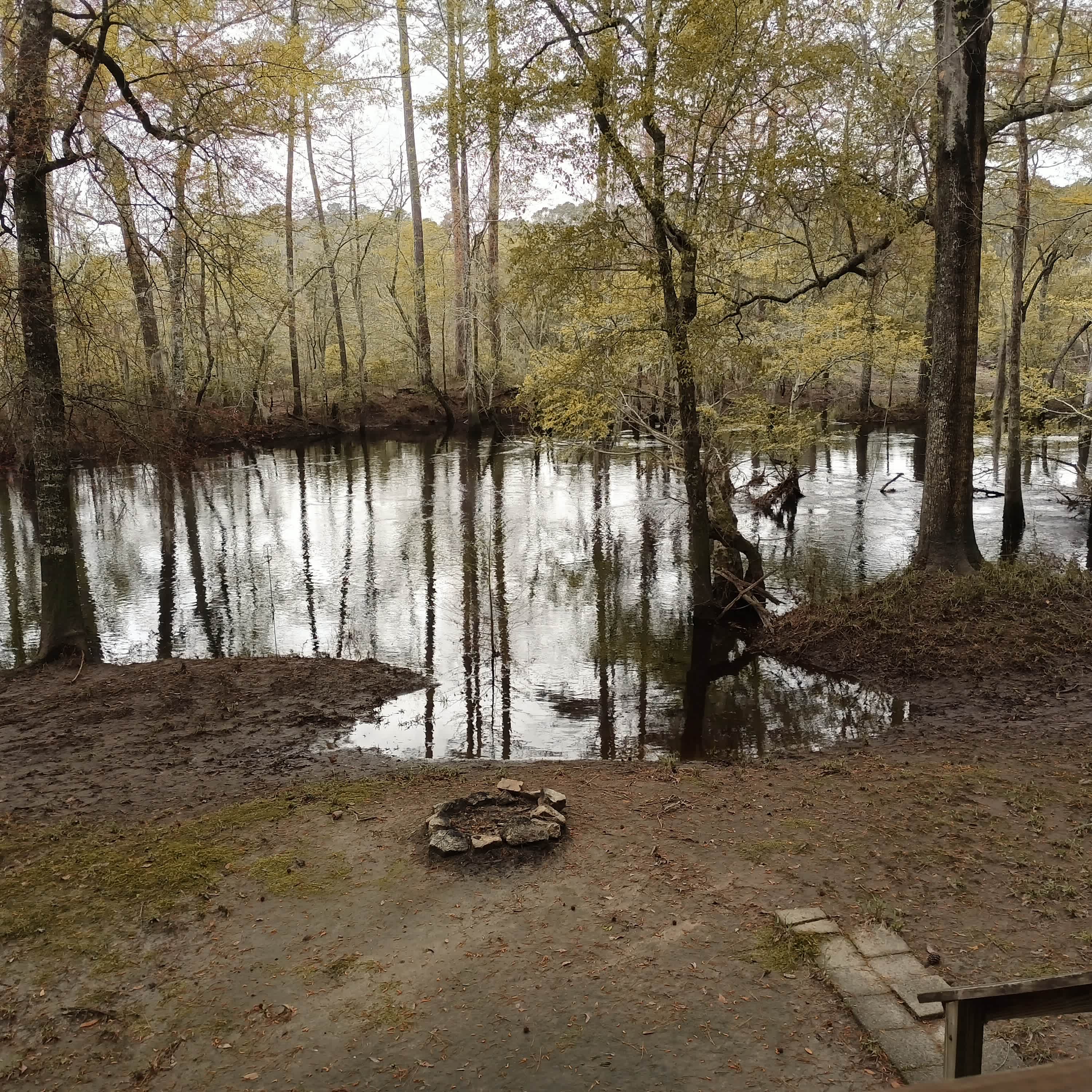 Beautiful, even on a rainy day. 