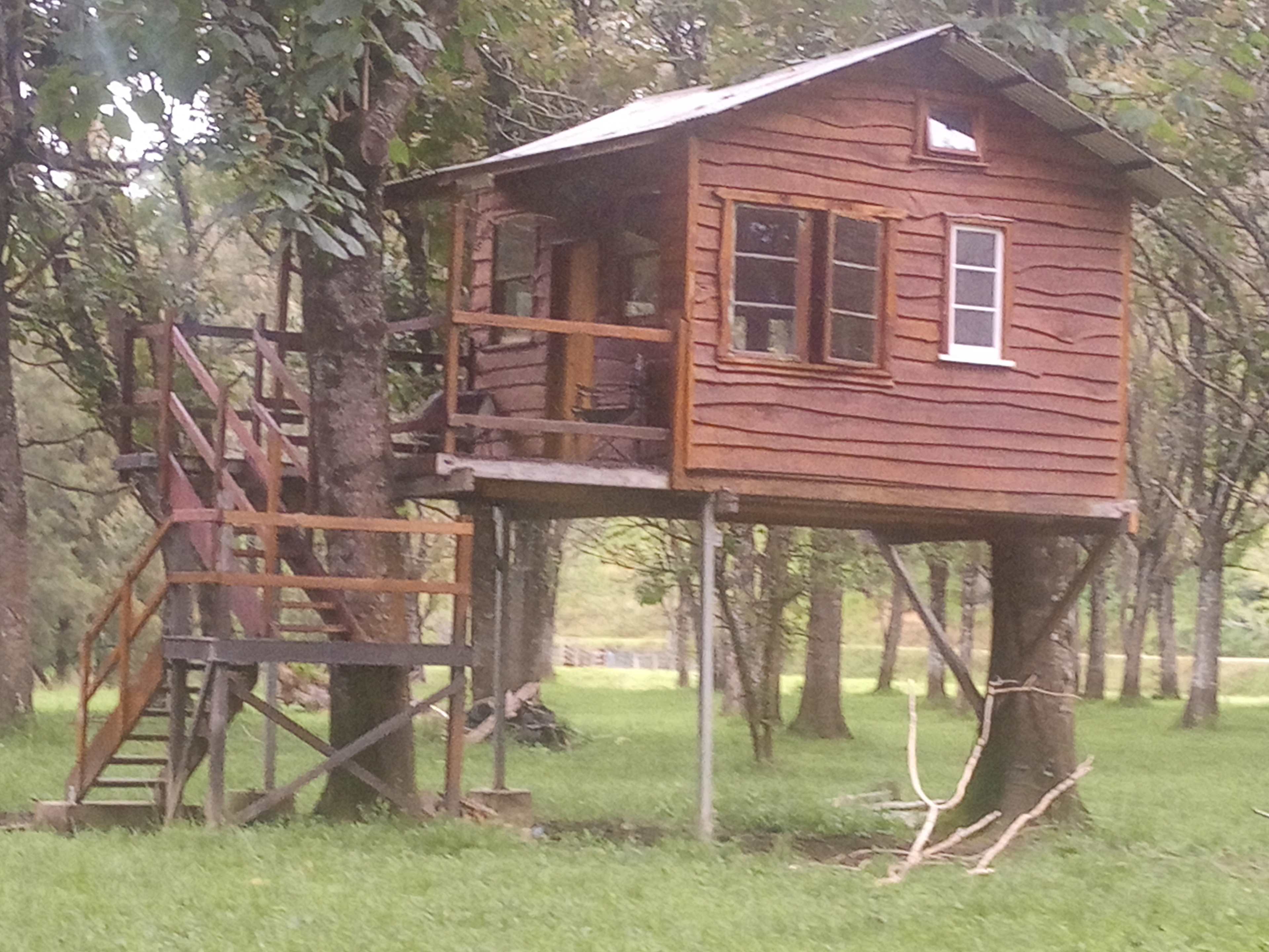 Sygoglin Treehouse
