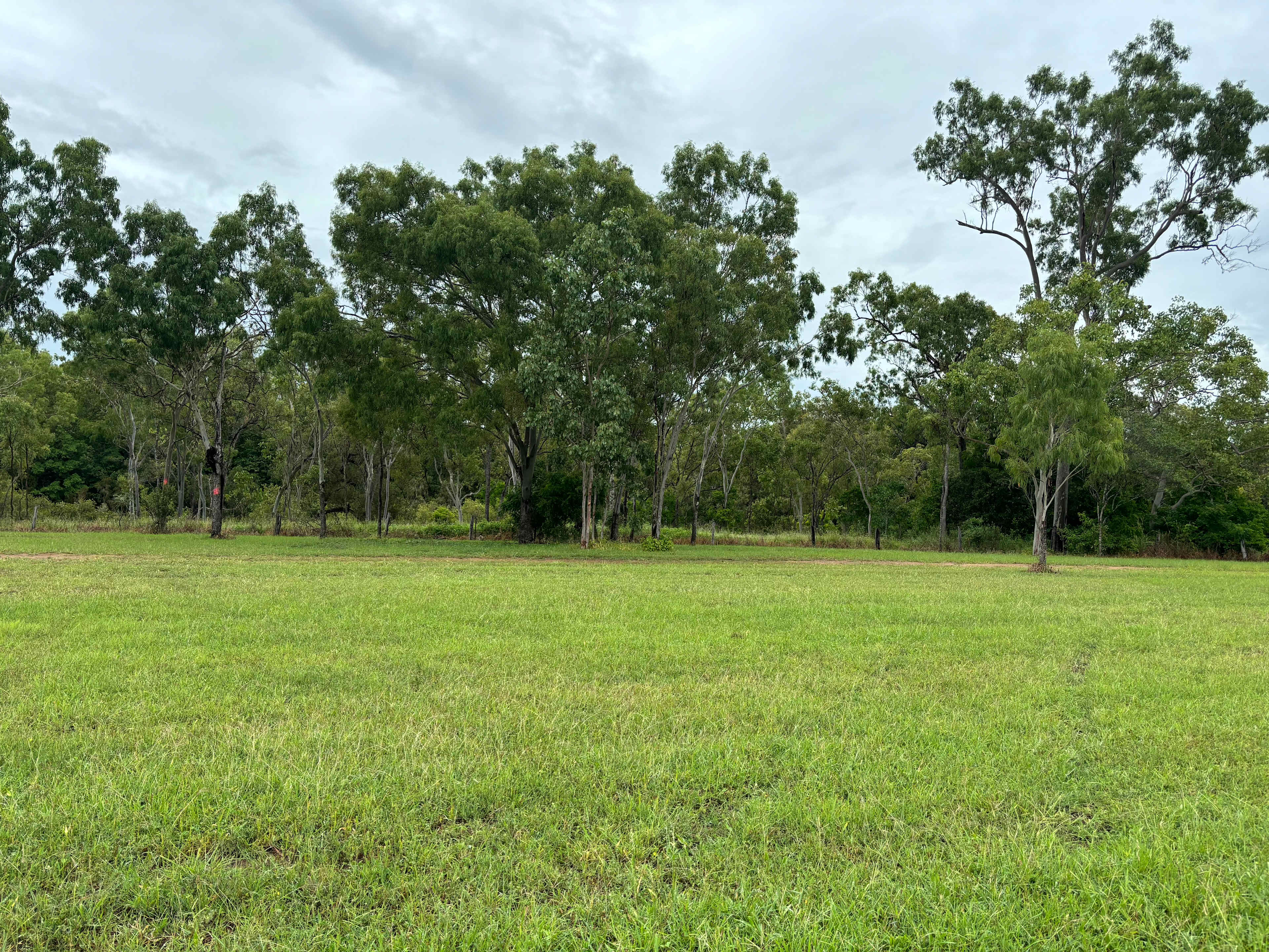 Normanby Rd Nature Bush Camp