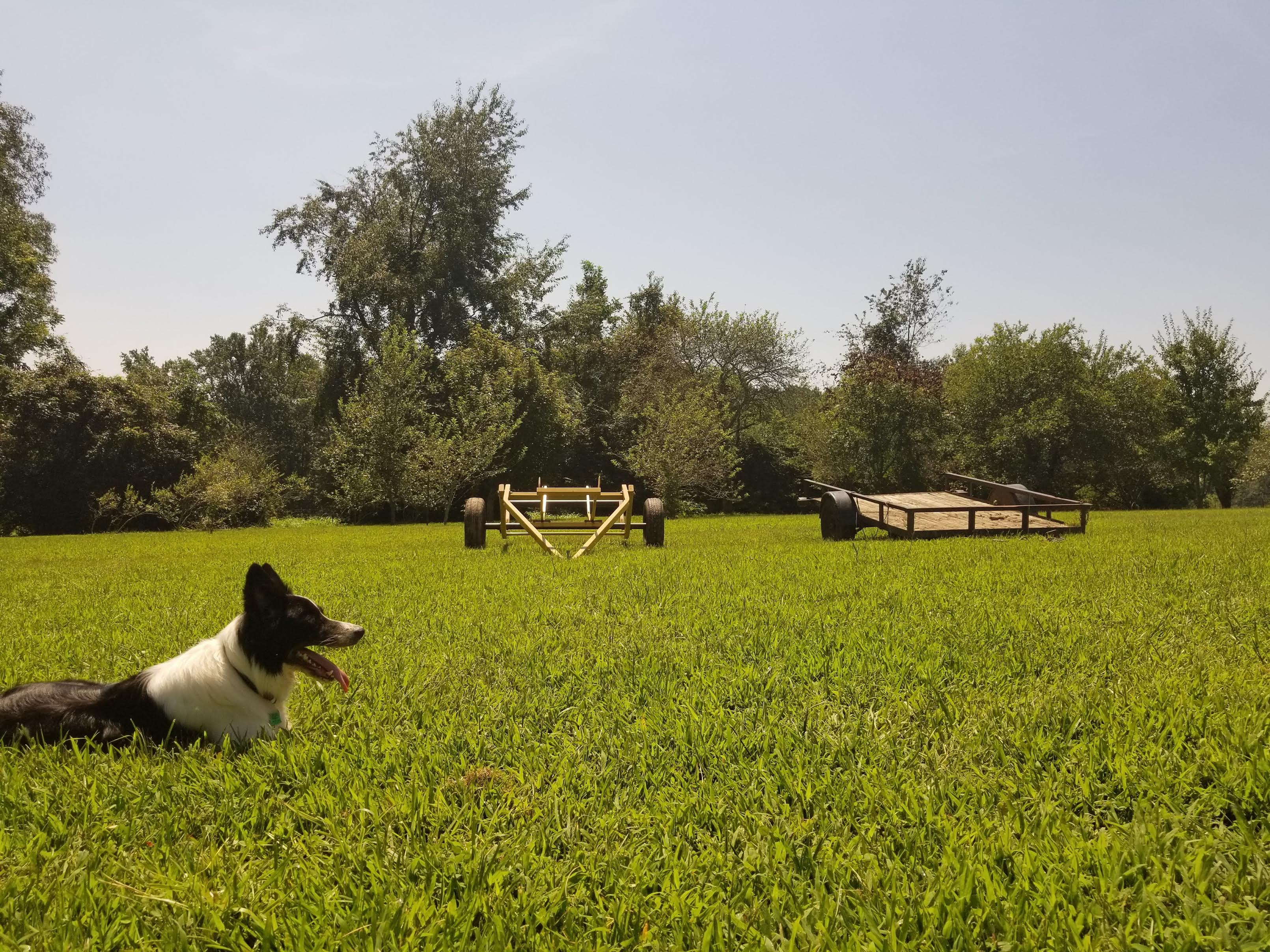 Rum Creek Cattle Farm