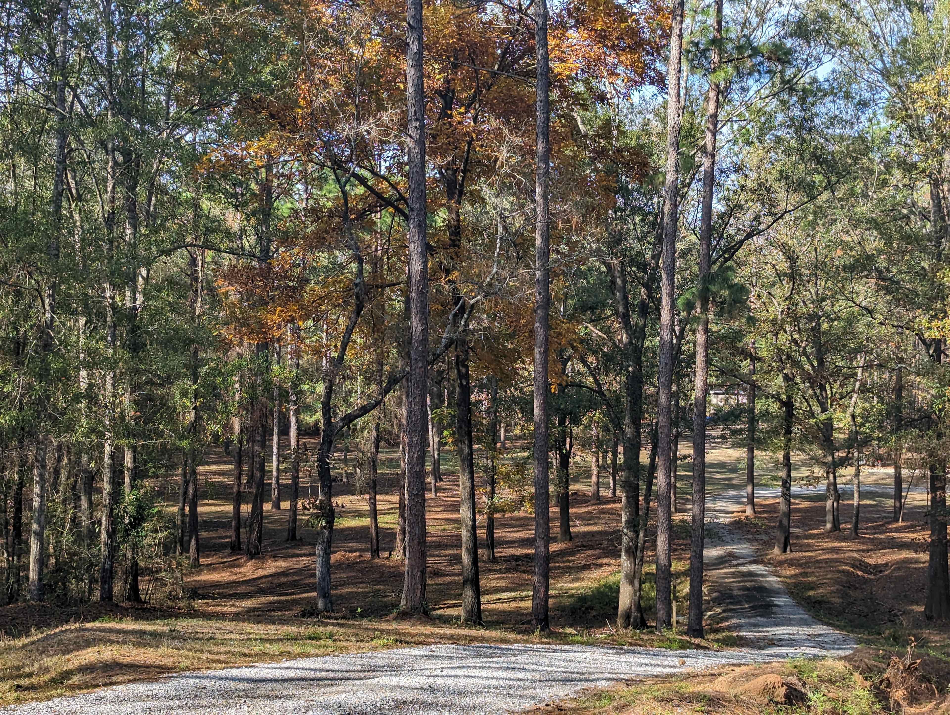 Luxor Camping, RV & Retreat